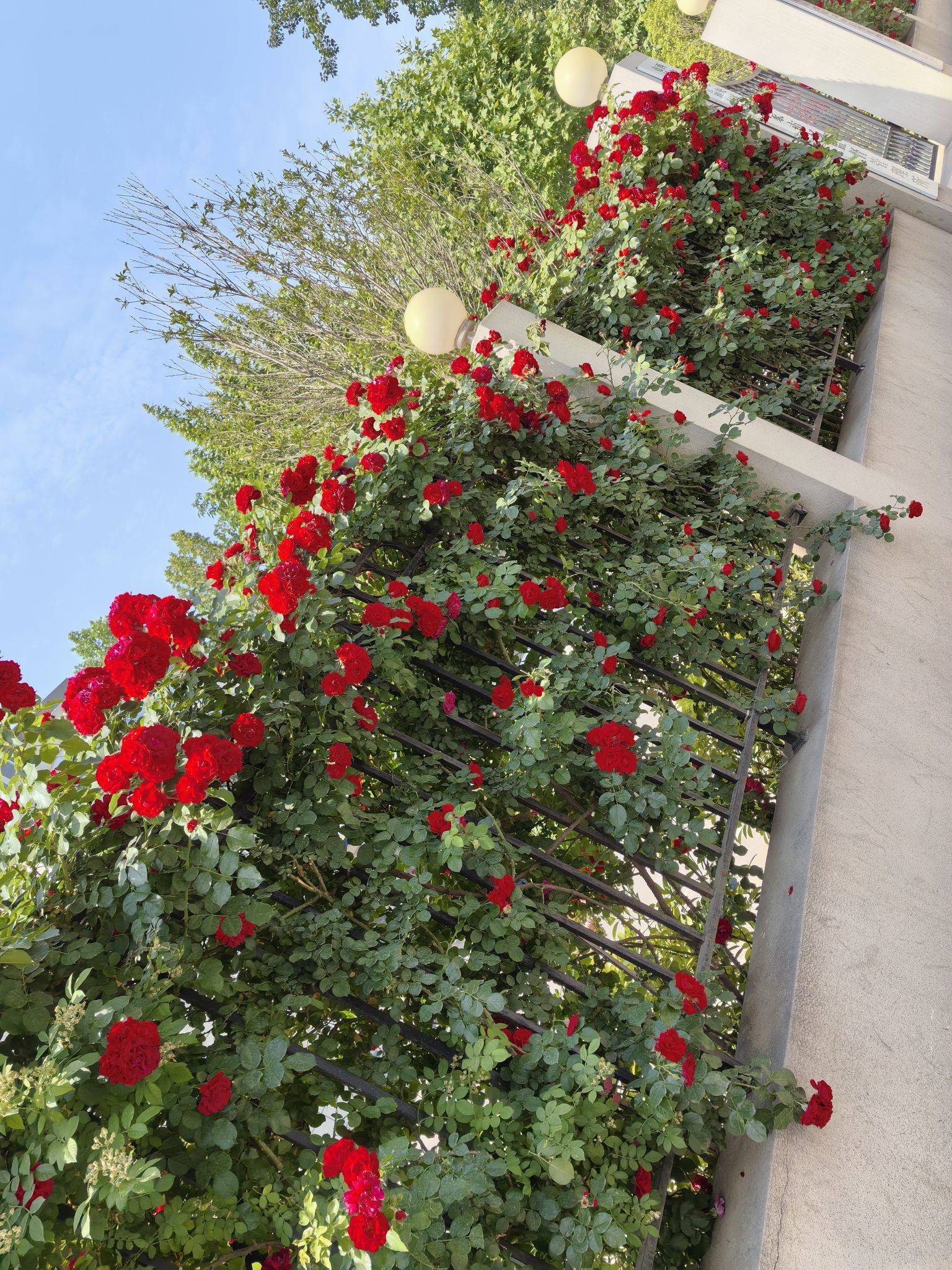 西安-未央-温馨小窝,干净治愈,不限性别,市井烟火气