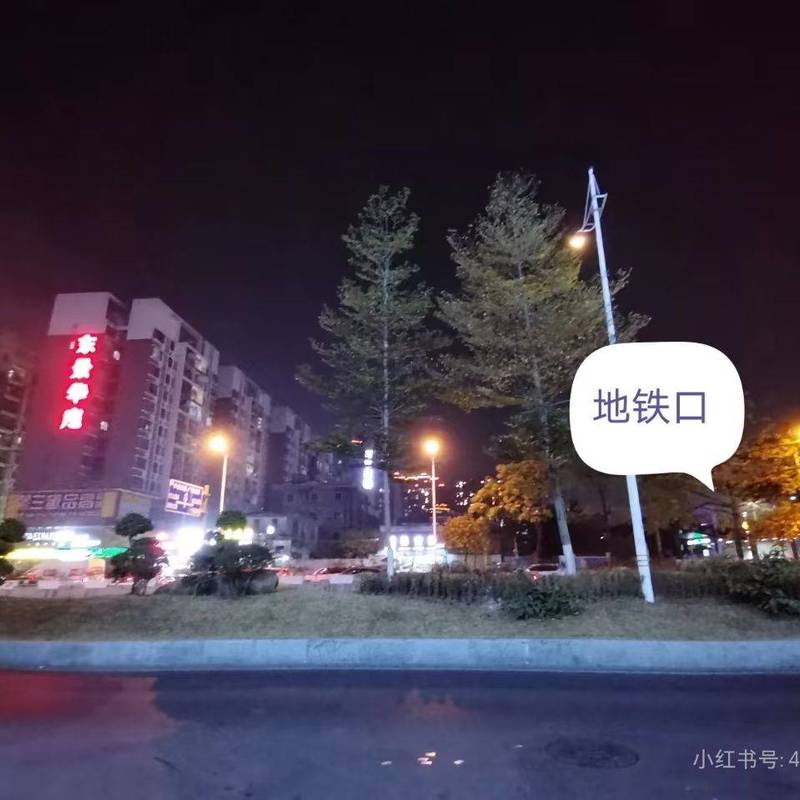 Guangzhou Zengcheng | 东景华庭_6