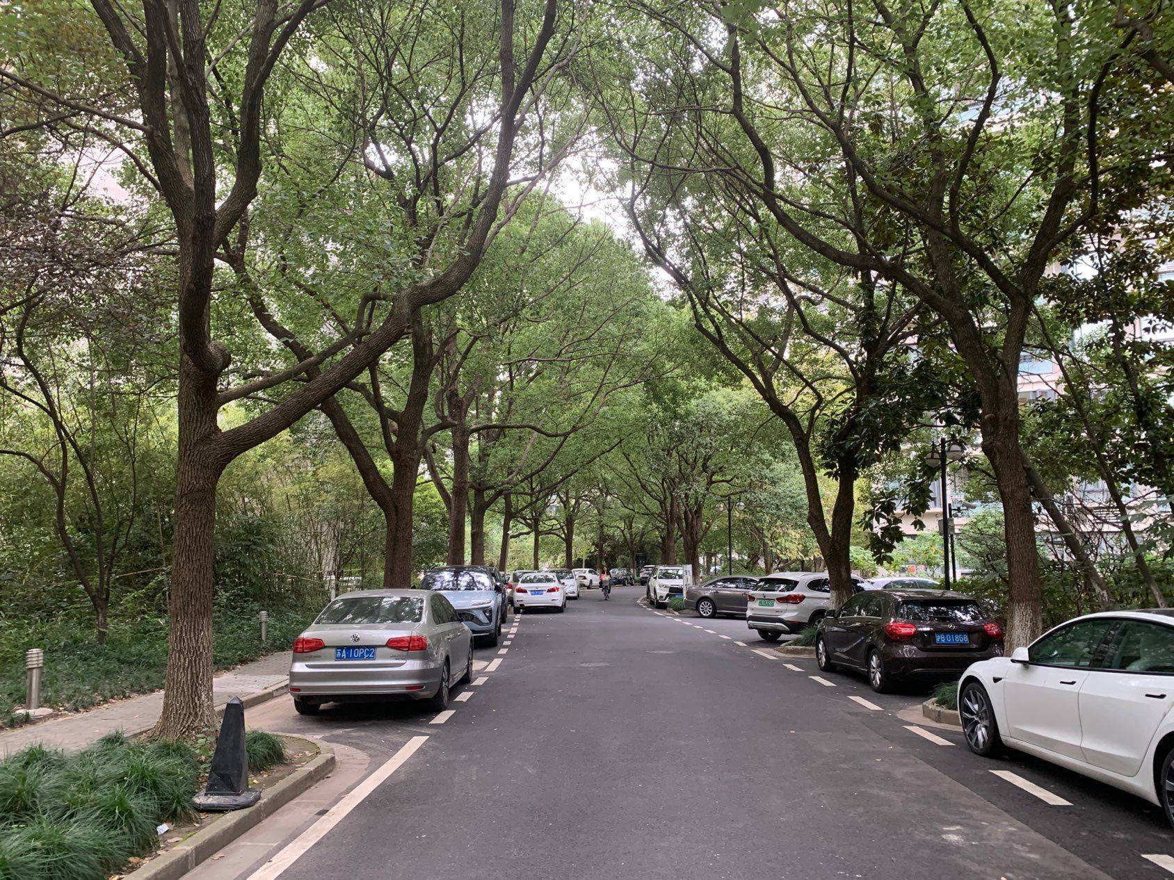 上海-浦東-溫馨小窩,乾淨治愈,慢時光,寵物友好