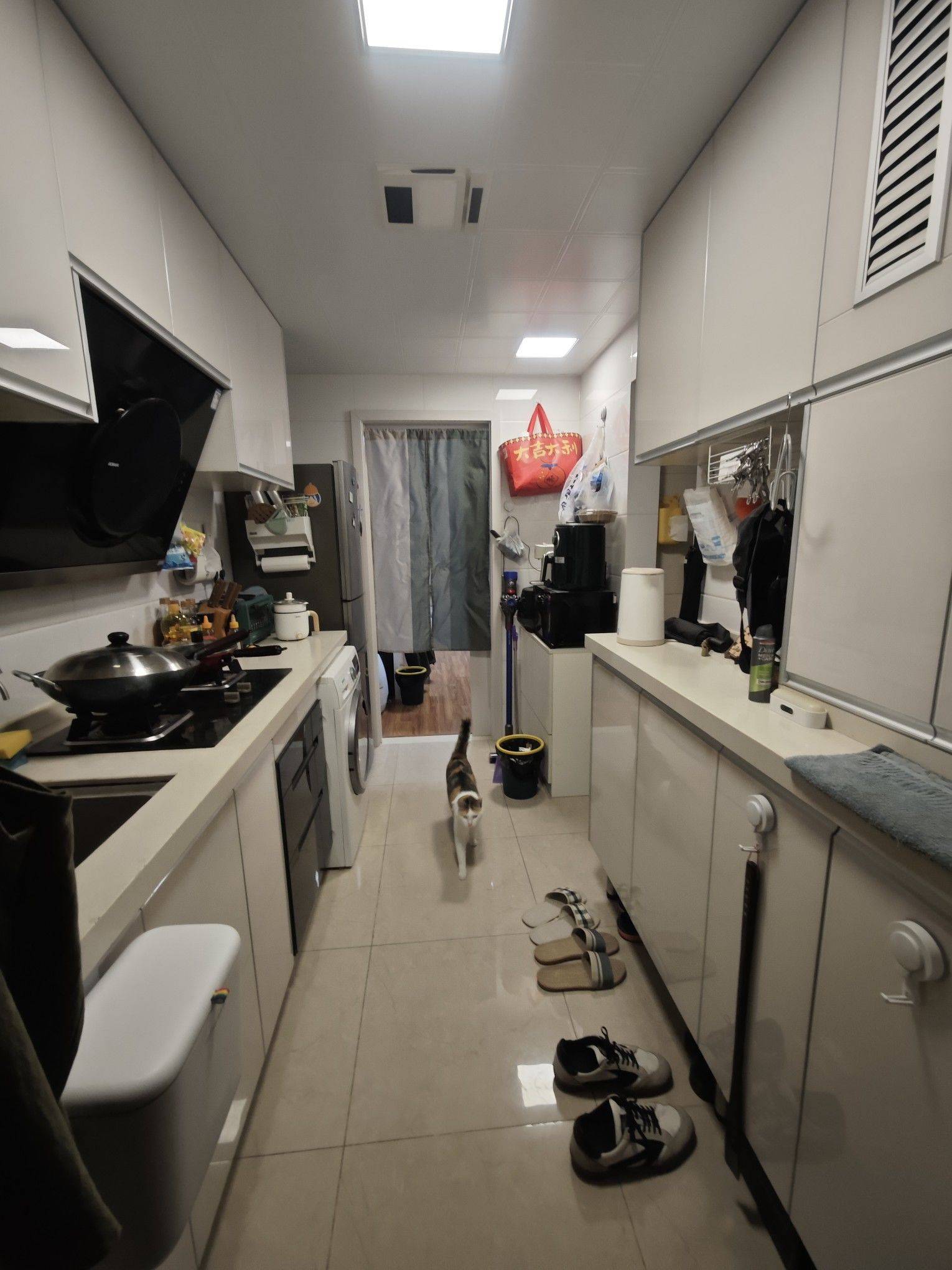 Shanghai-Pudong-Cozy Home,Clean&Comfy,No Gender Limit,Pet Friendly