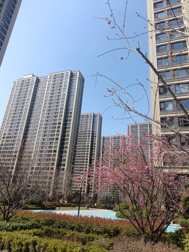 西安 未央 | 未央区绿城桂语蘭庭(尚林路南150米)_7