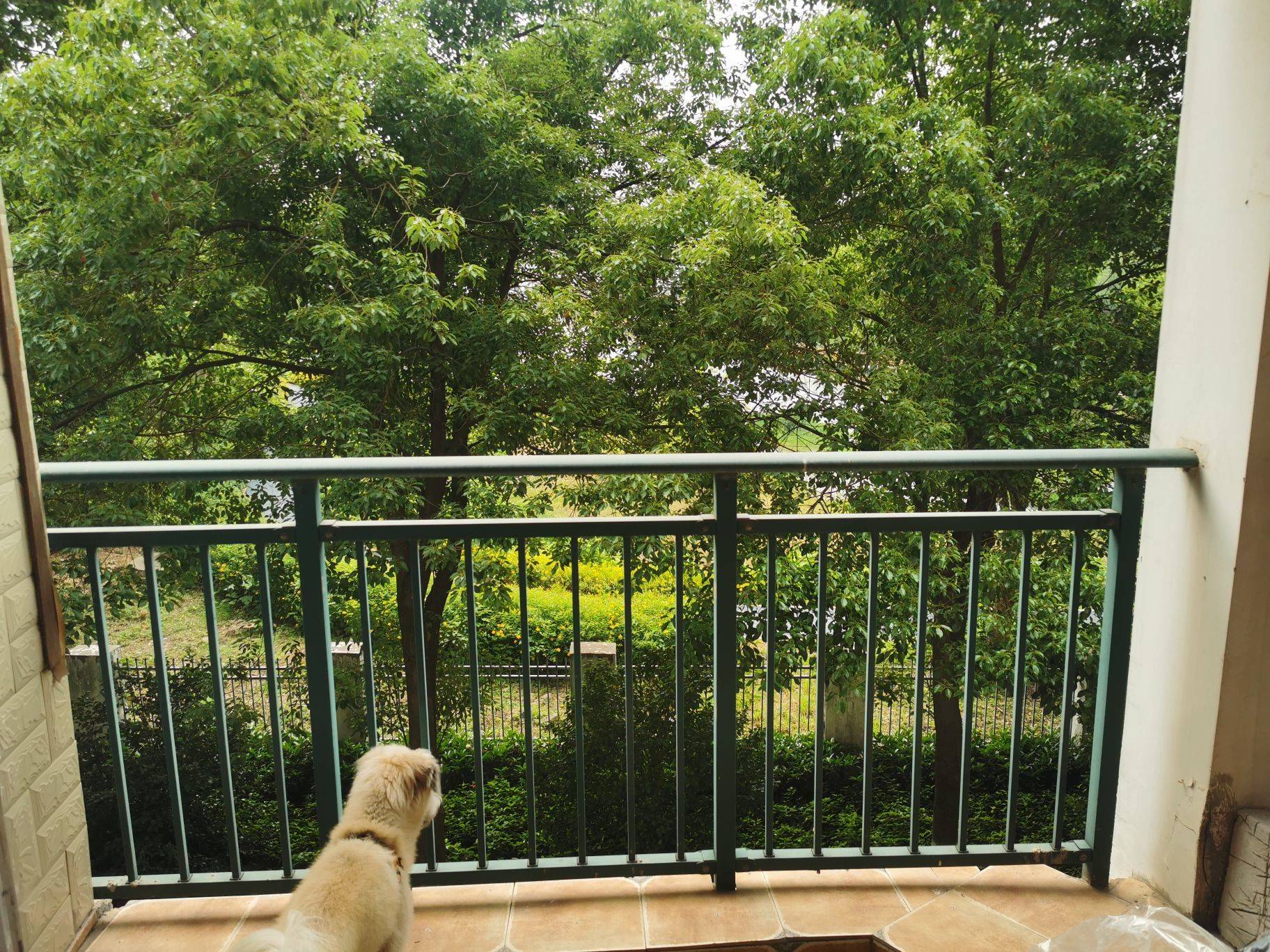 Wuhan-Jiangxia-Cozy Home