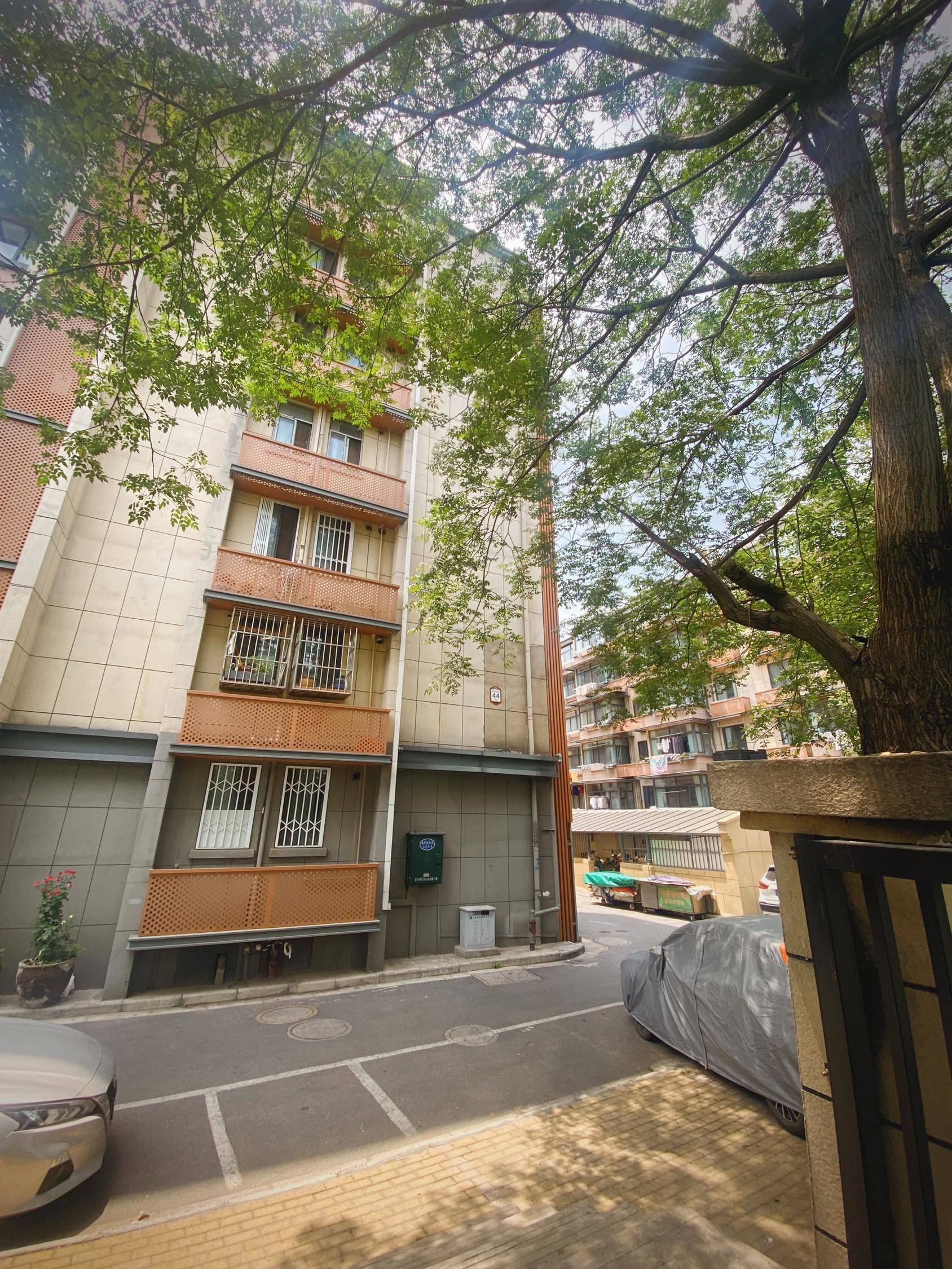 南京 建邺 | 莫愁湖东路_7