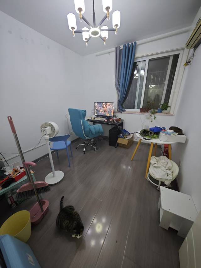 猫猫头整租房源1