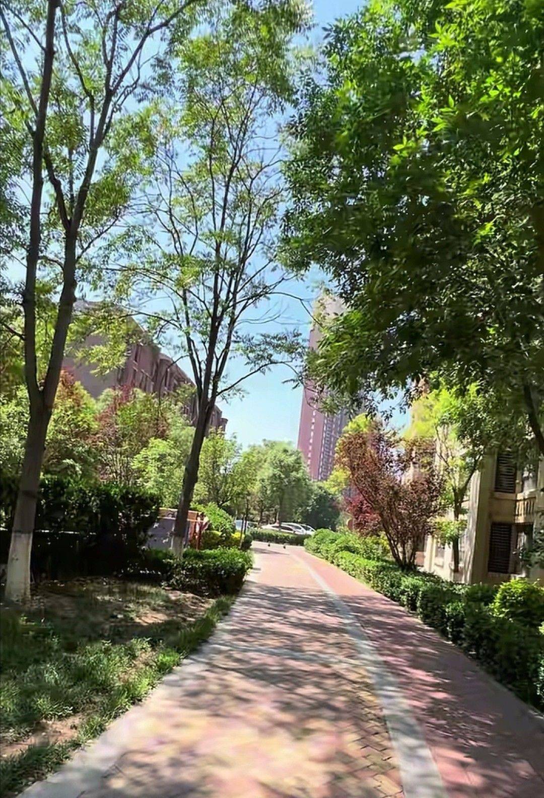 Tianjin Jinnan | 金地艺境-36号楼_6