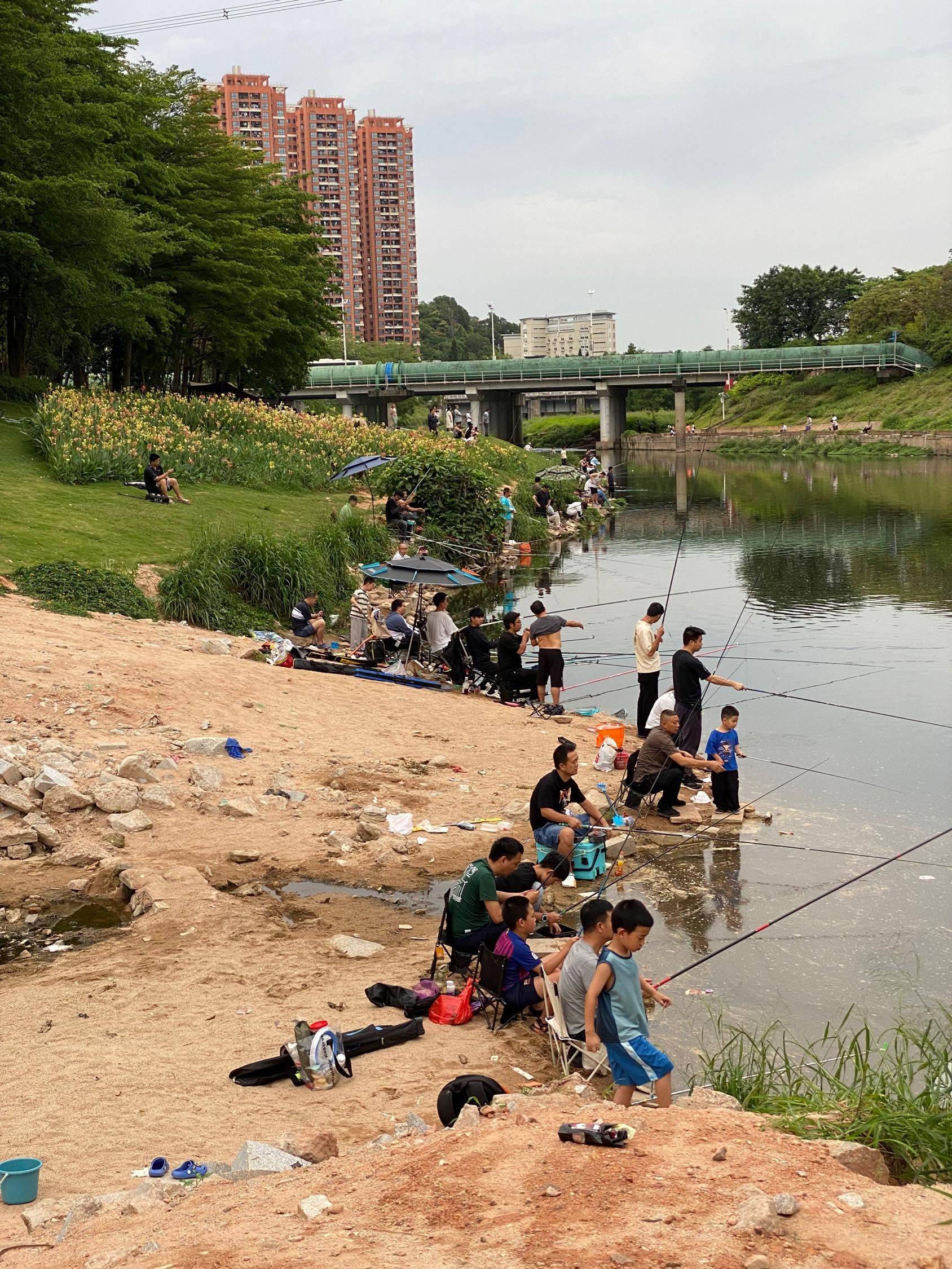 深圳 龍華 | 中百小屋D栋_7