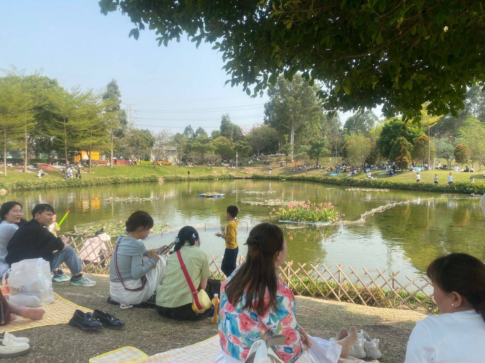 深圳 龍華 | 中百小屋D栋_6