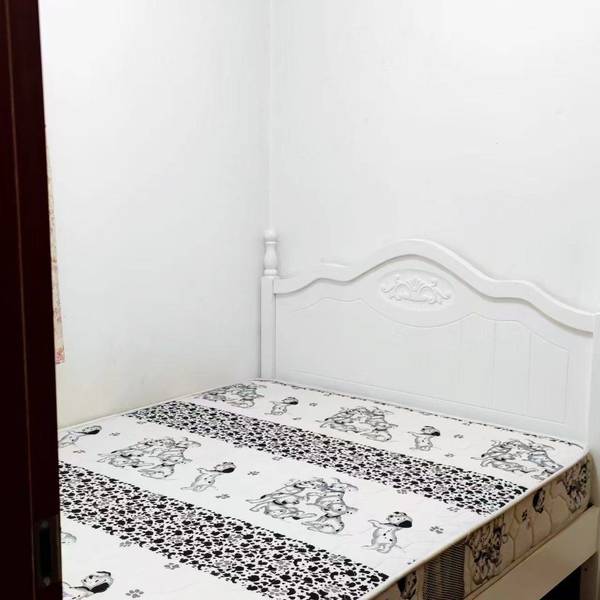 无宠物-不限性別