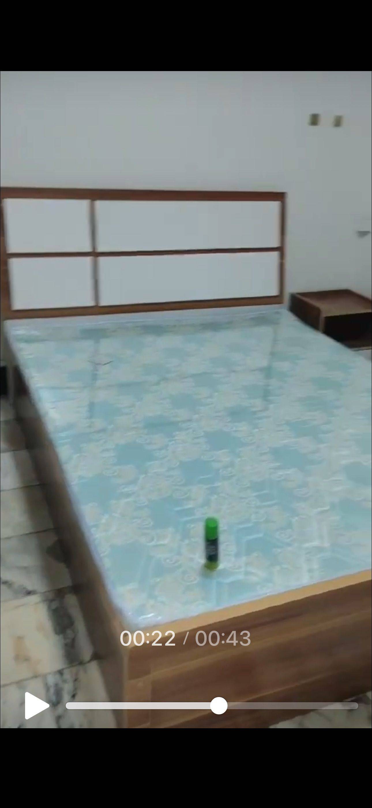 Chengdu-Jinniu-Cozy Home,No Gender Limit,Hustle & Bustle,Pet Friendly