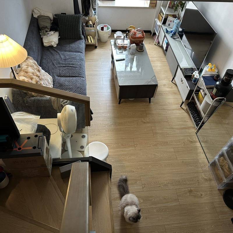 Shenzhen Longhua | 龙光·玖钻南区_5