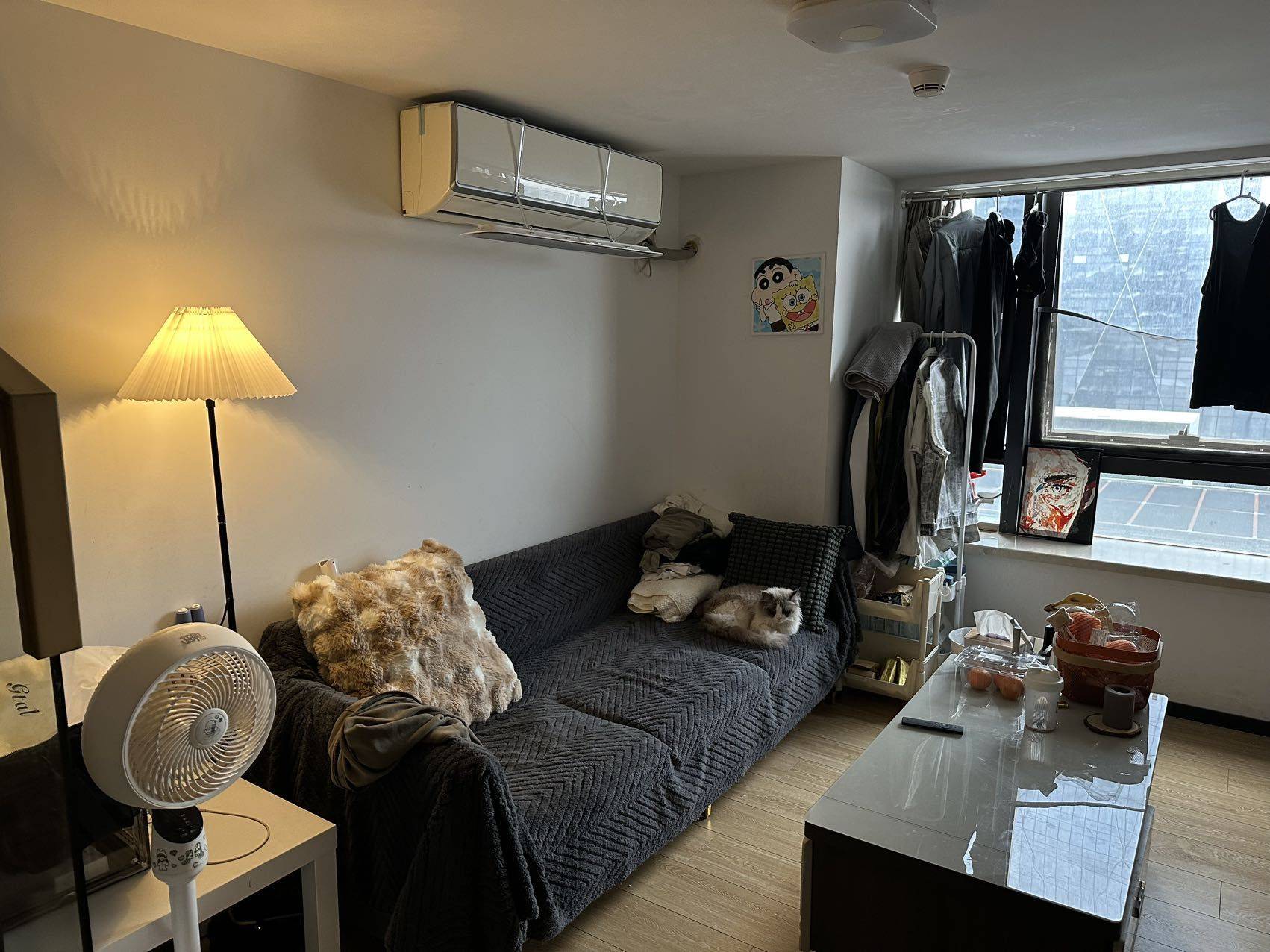 阿辉Rain整租房源3