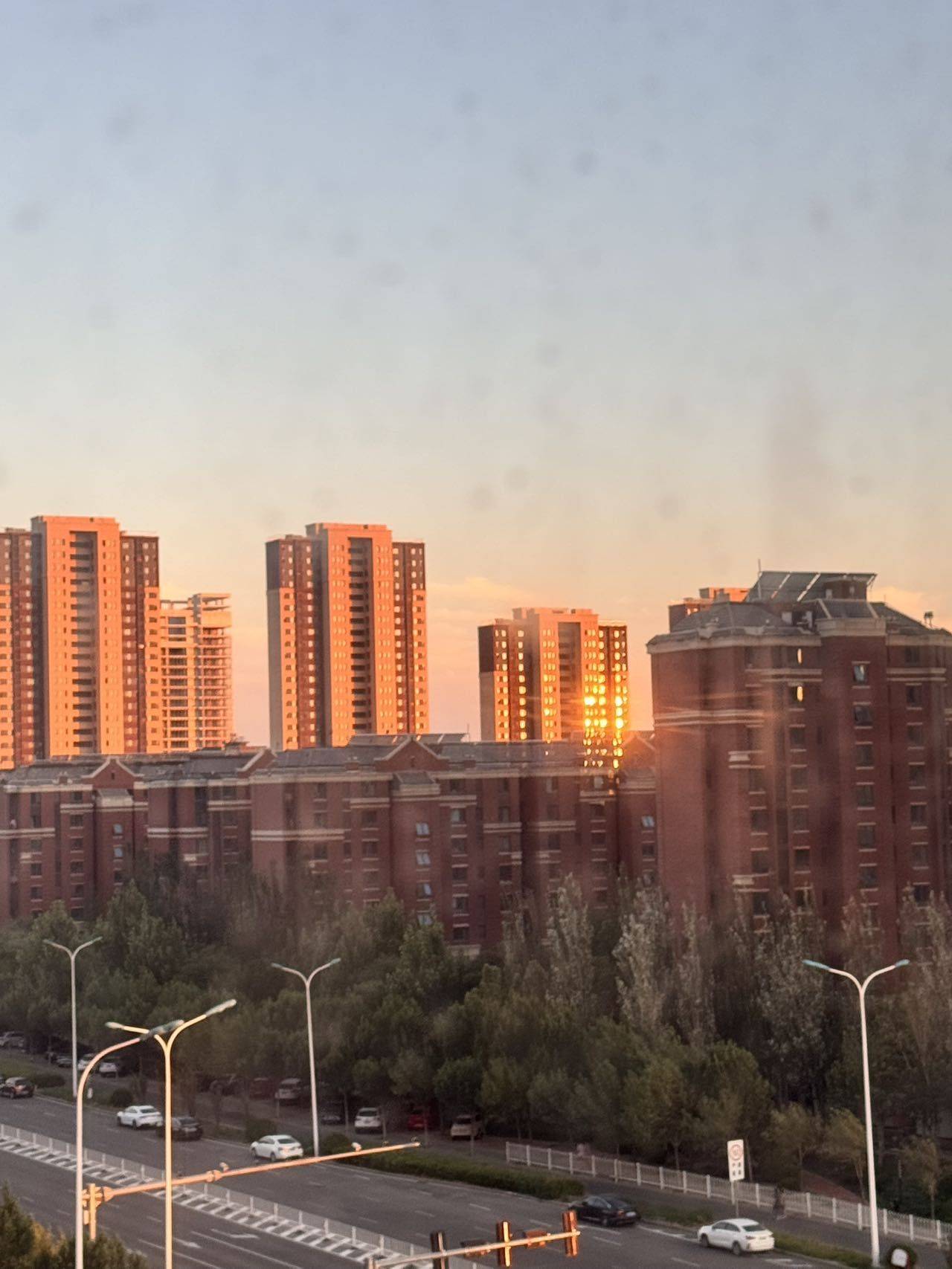 dario d整租房源1