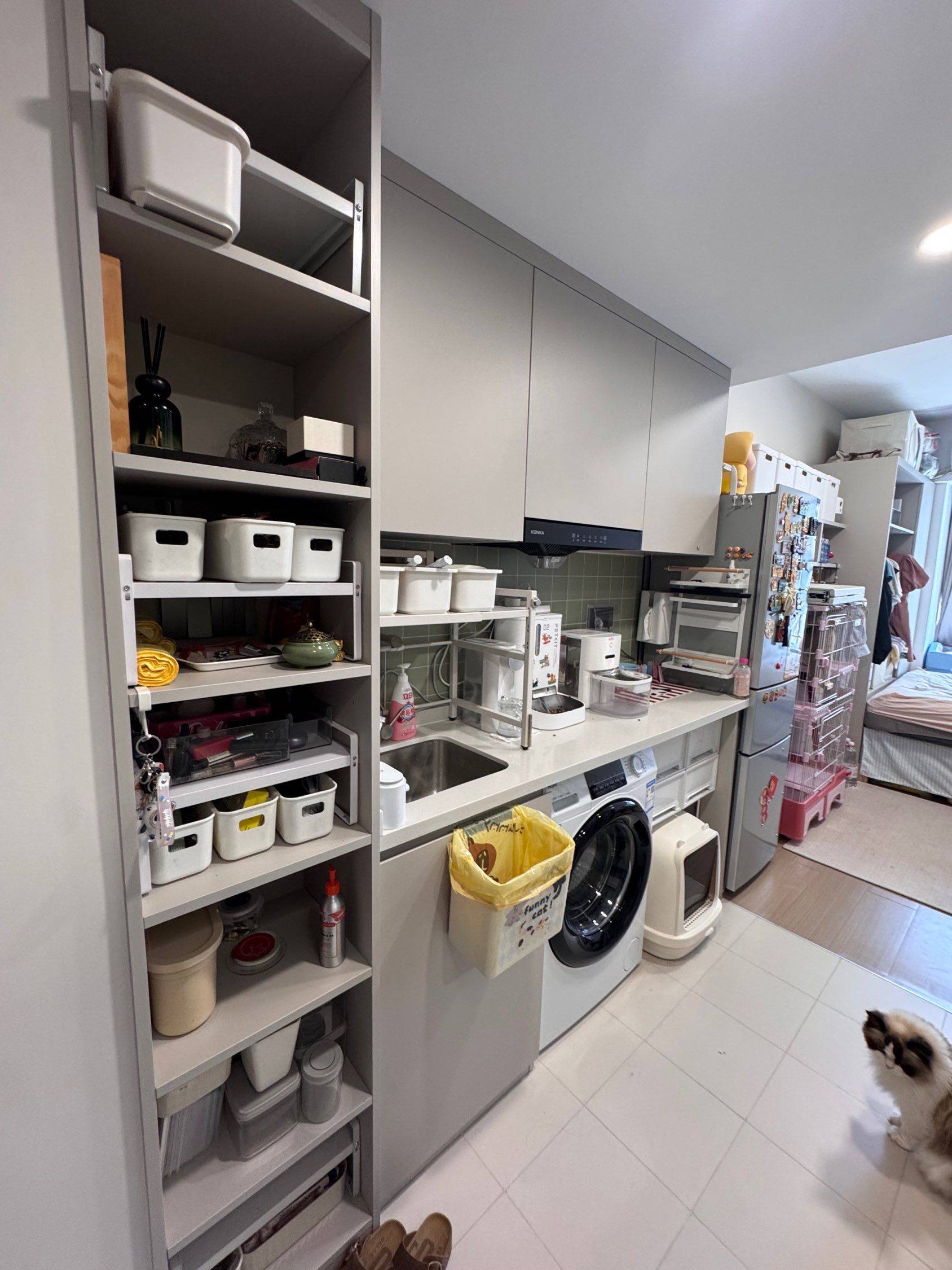 上海-靜安-溫馨小窩,乾淨治愈,不限性別,市井煙火氣,老友記,慢時光,LGBTQ友好,寵物友好