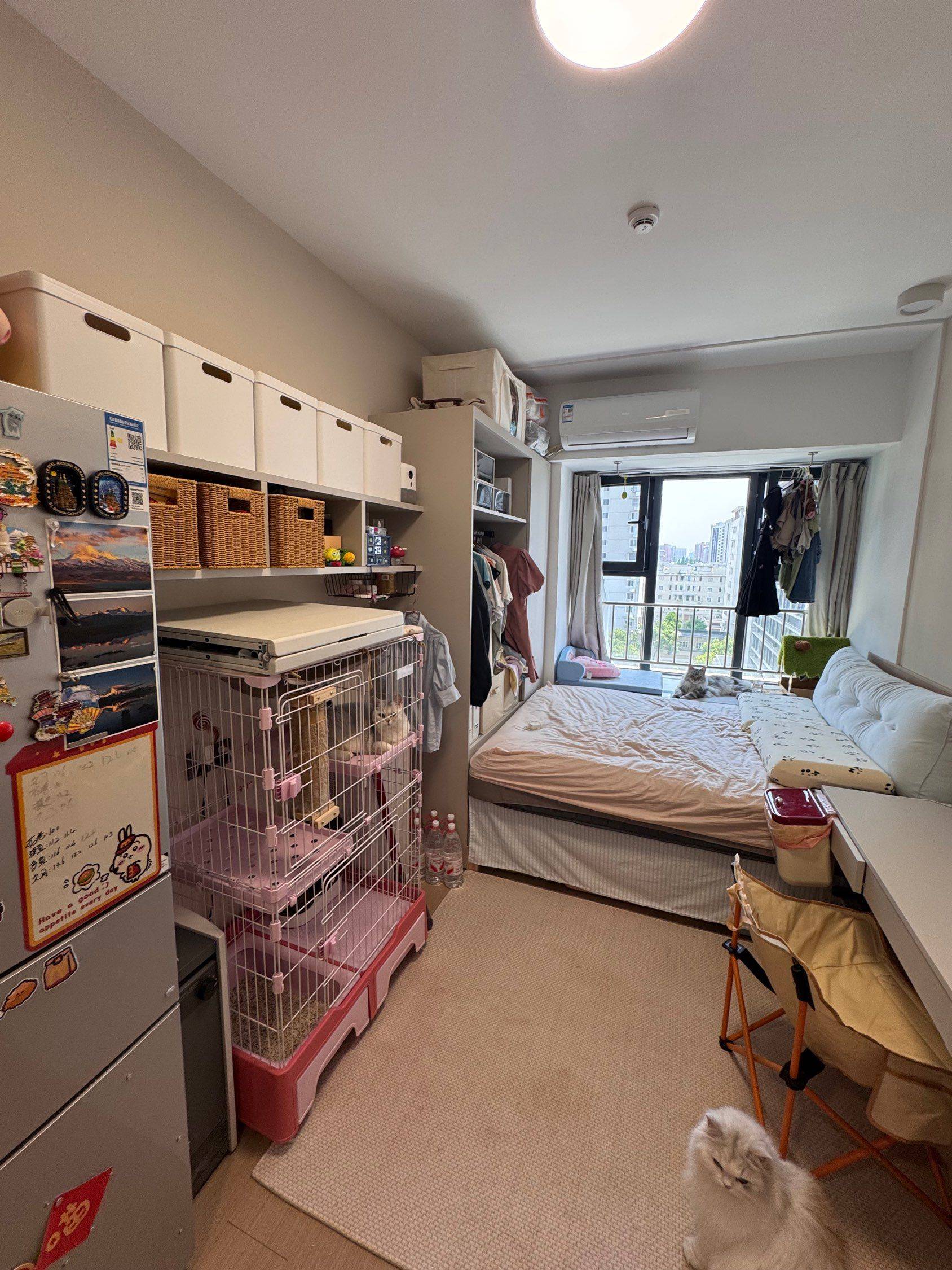 Shanghai-Jing‘An-Cozy Home,Clean&Comfy,No Gender Limit,Hustle & Bustle,Chilled,LGBTQ Friendly