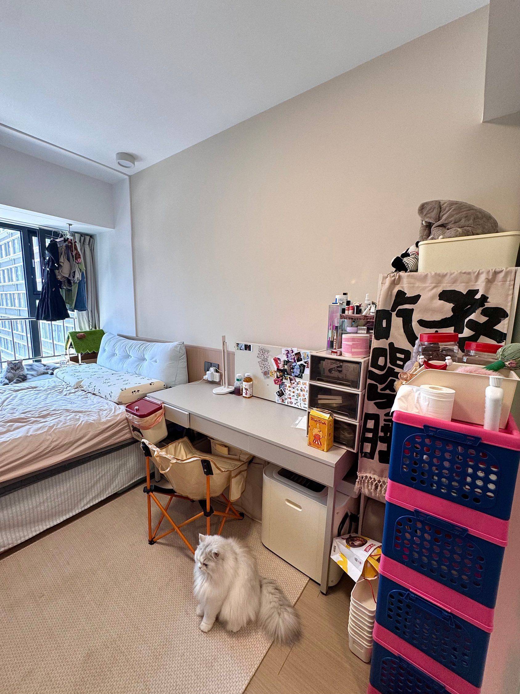 Shanghai-Jing‘An-Cozy Home,Clean&Comfy,No Gender Limit,Hustle & Bustle,Chilled,LGBTQ Friendly