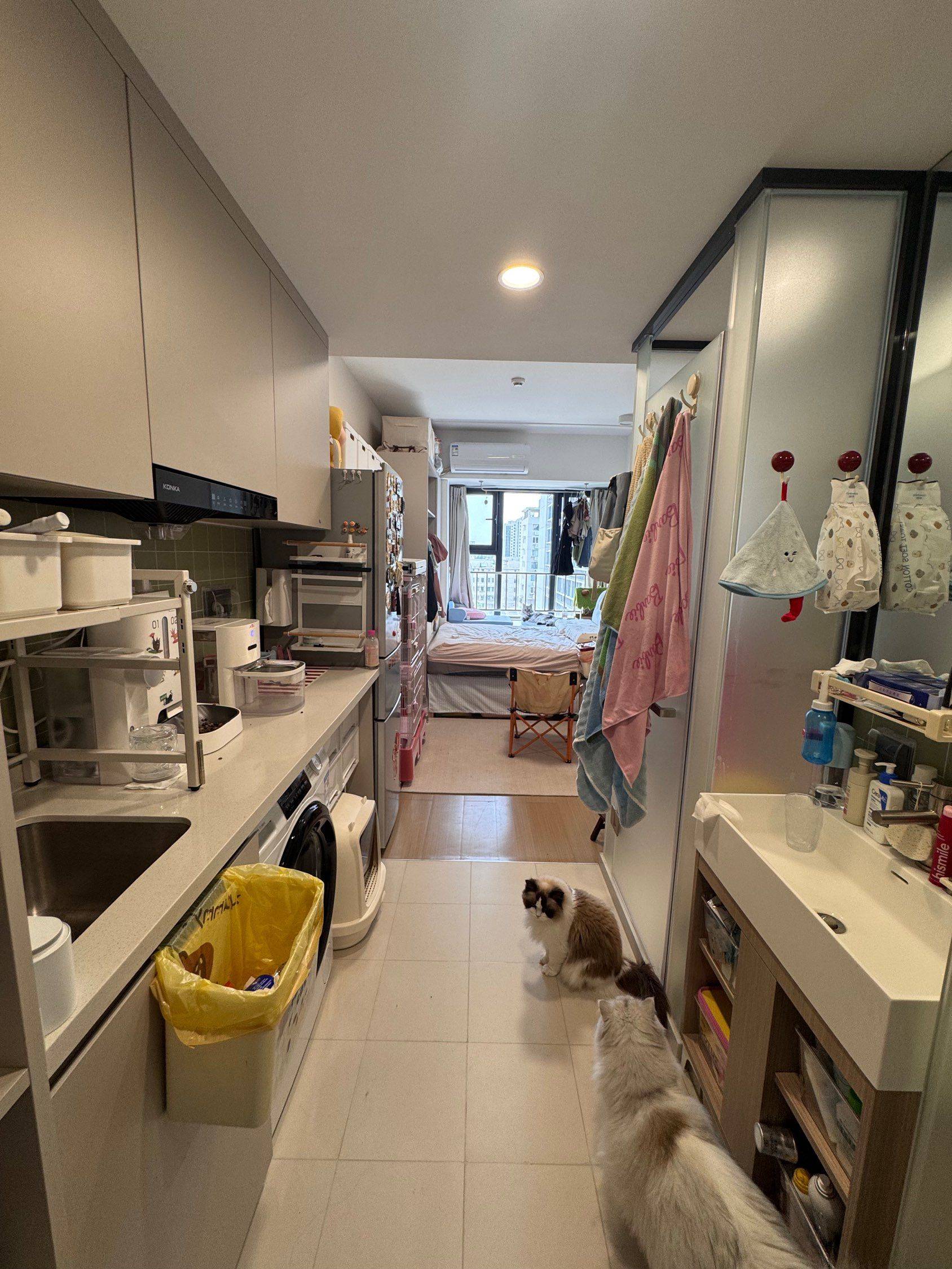 Shanghai-Jing‘An-Cozy Home,Clean&Comfy,No Gender Limit,Hustle & Bustle,Chilled,LGBTQ Friendly