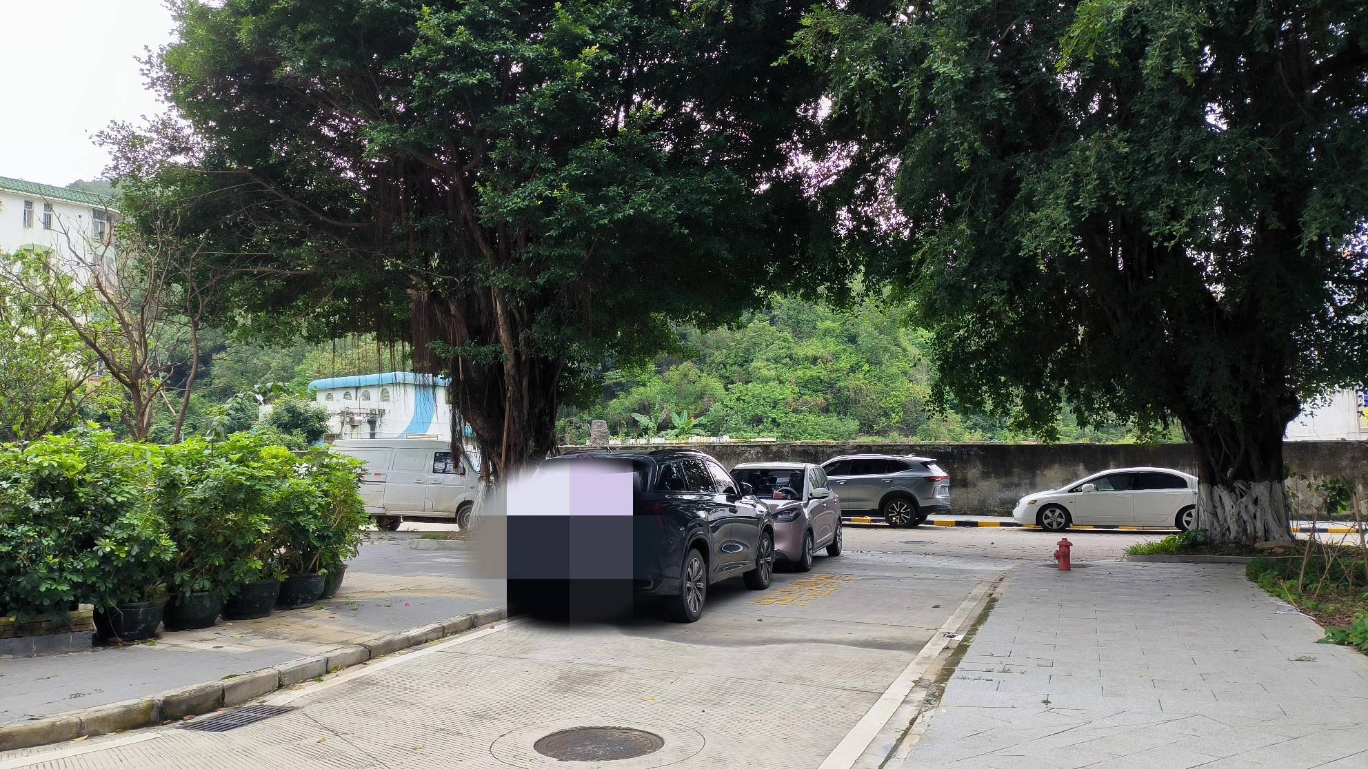 哆啦A梦家的蓝胖子整租房源3