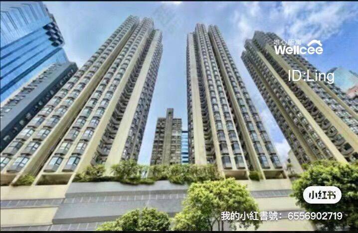 香港岛  [位置]