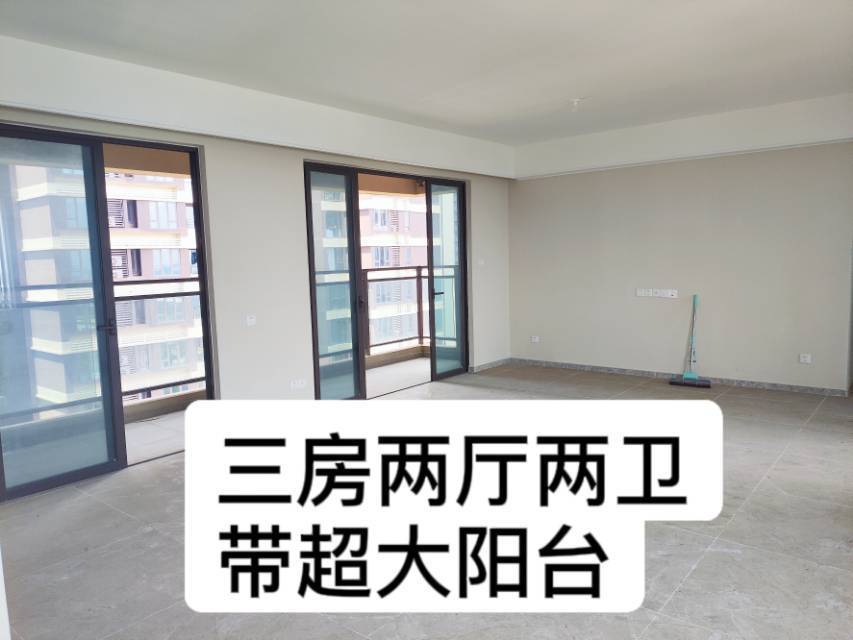 三水 保利中荷花园