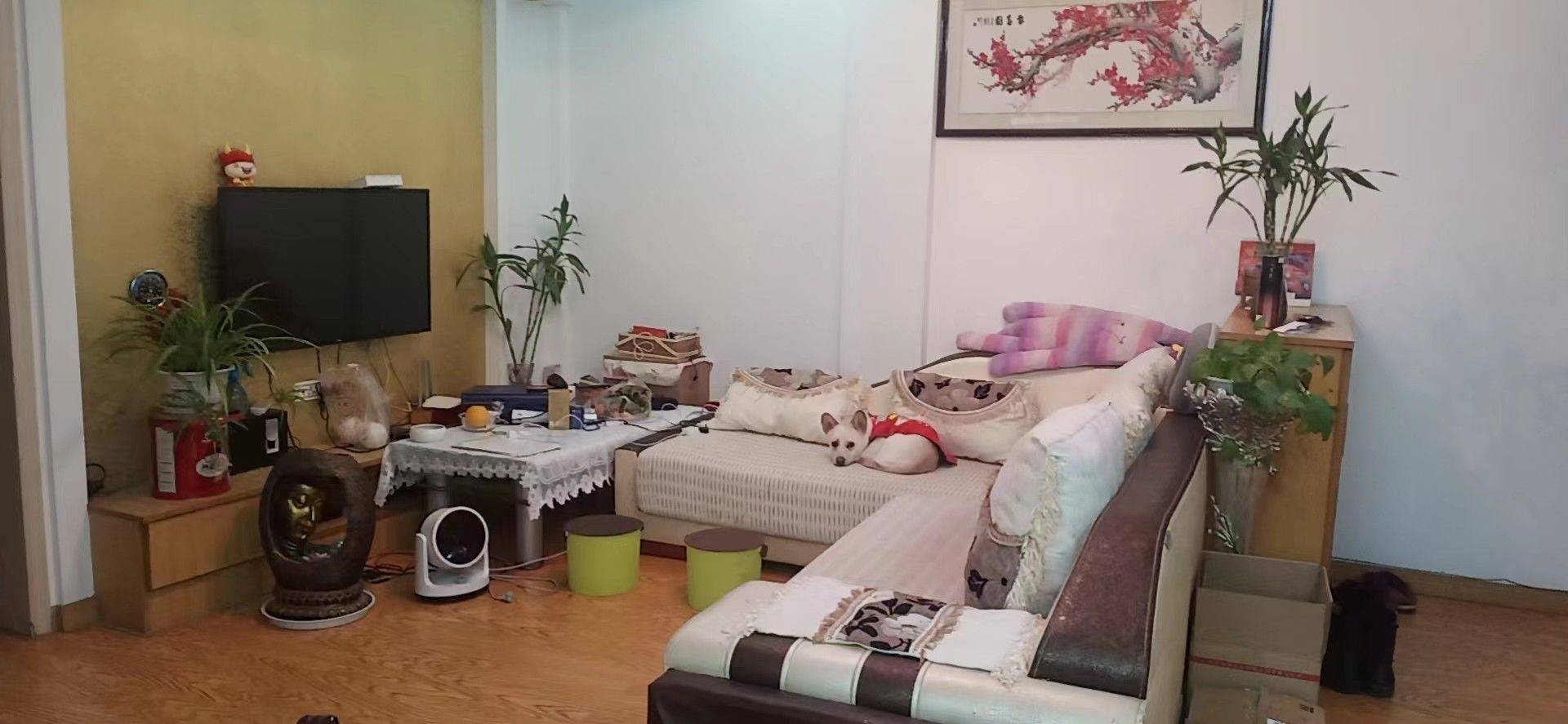 Xinzhou 锦阳花园-12栋