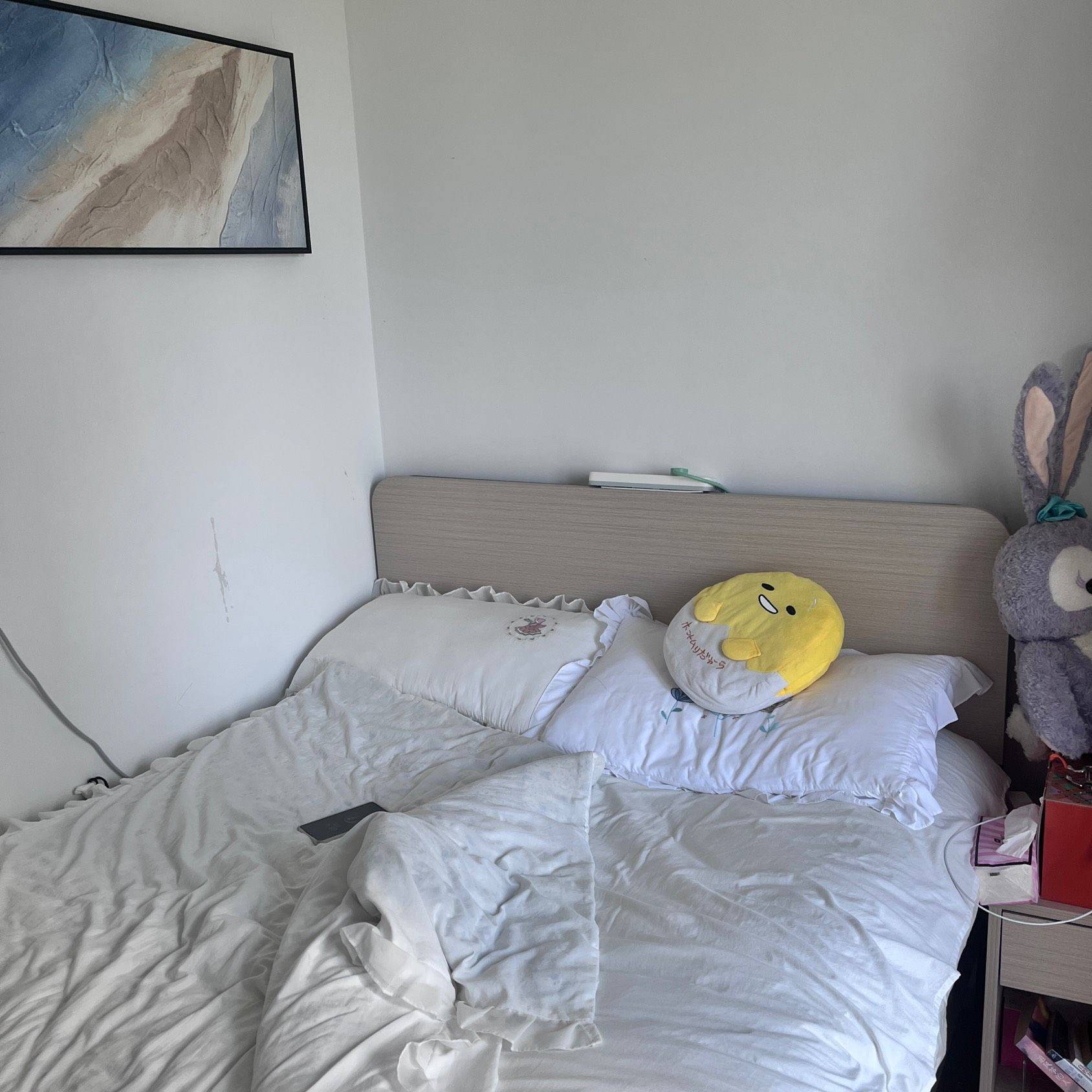 上海-寶山-溫馨小窩,乾淨治愈,不限性別,寵物友好