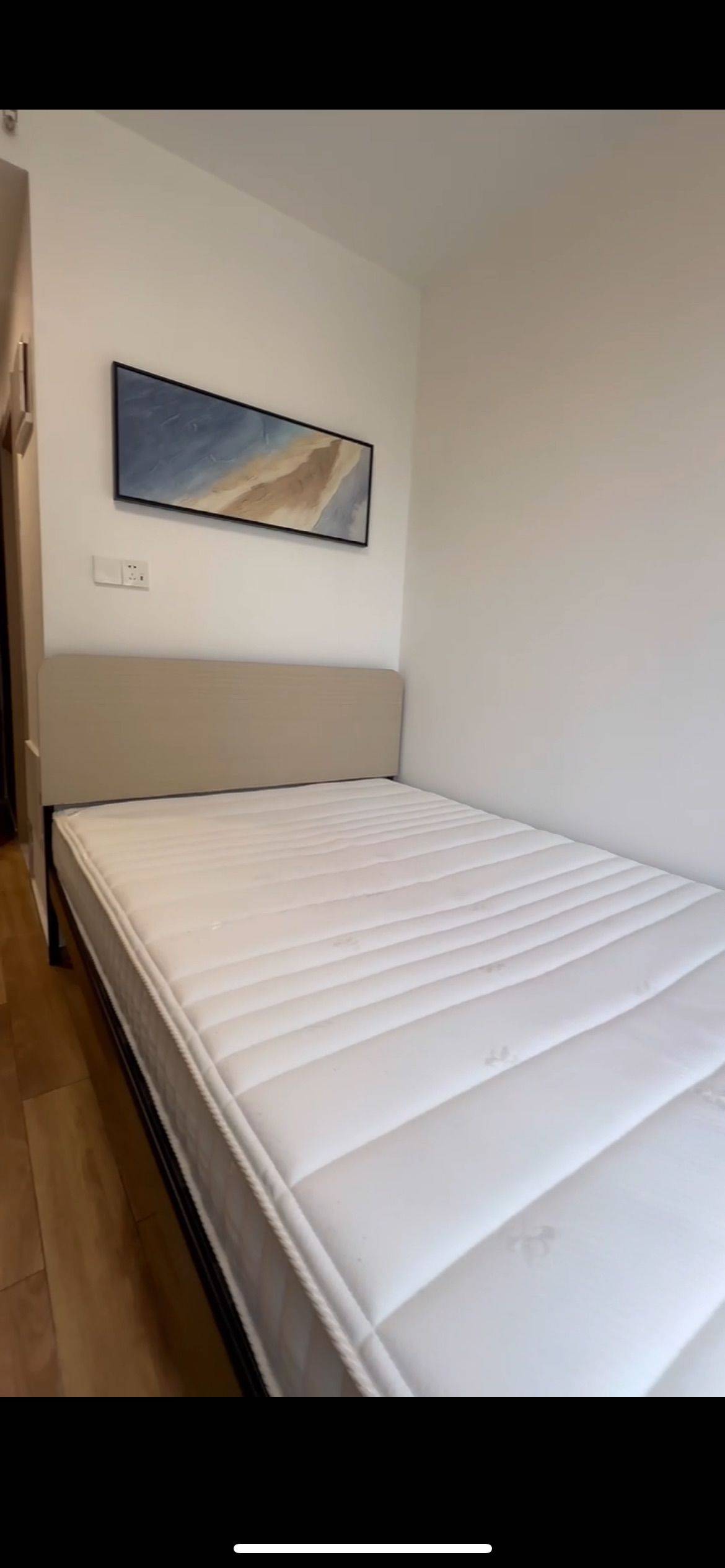 上海-寶山-溫馨小窩,乾淨治愈,不限性別,寵物友好