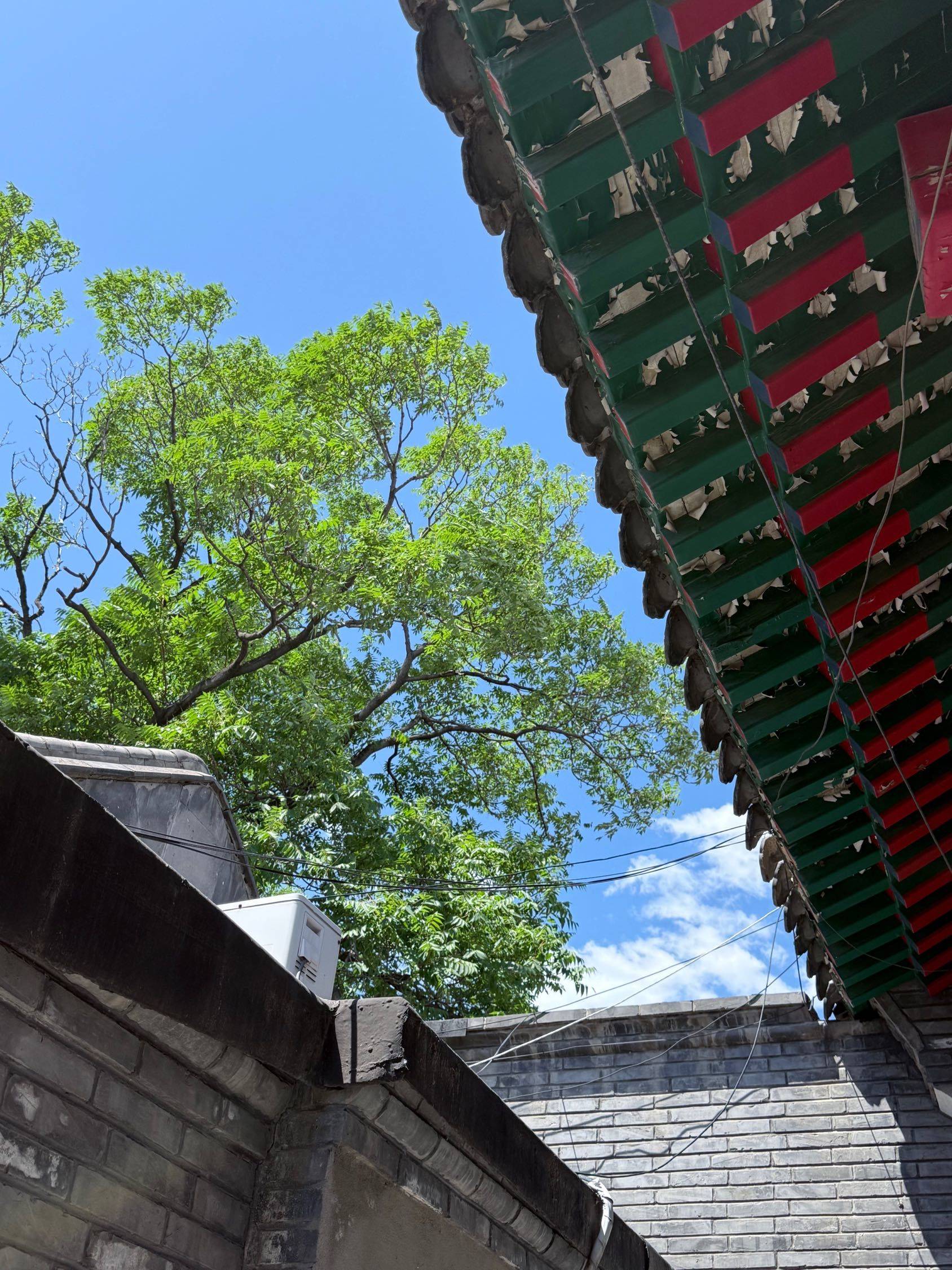 Beijing-Dongcheng-Hutong,Long & Short Term,Seeking Flatmate,Sublet,Replacement,Pet Friendly