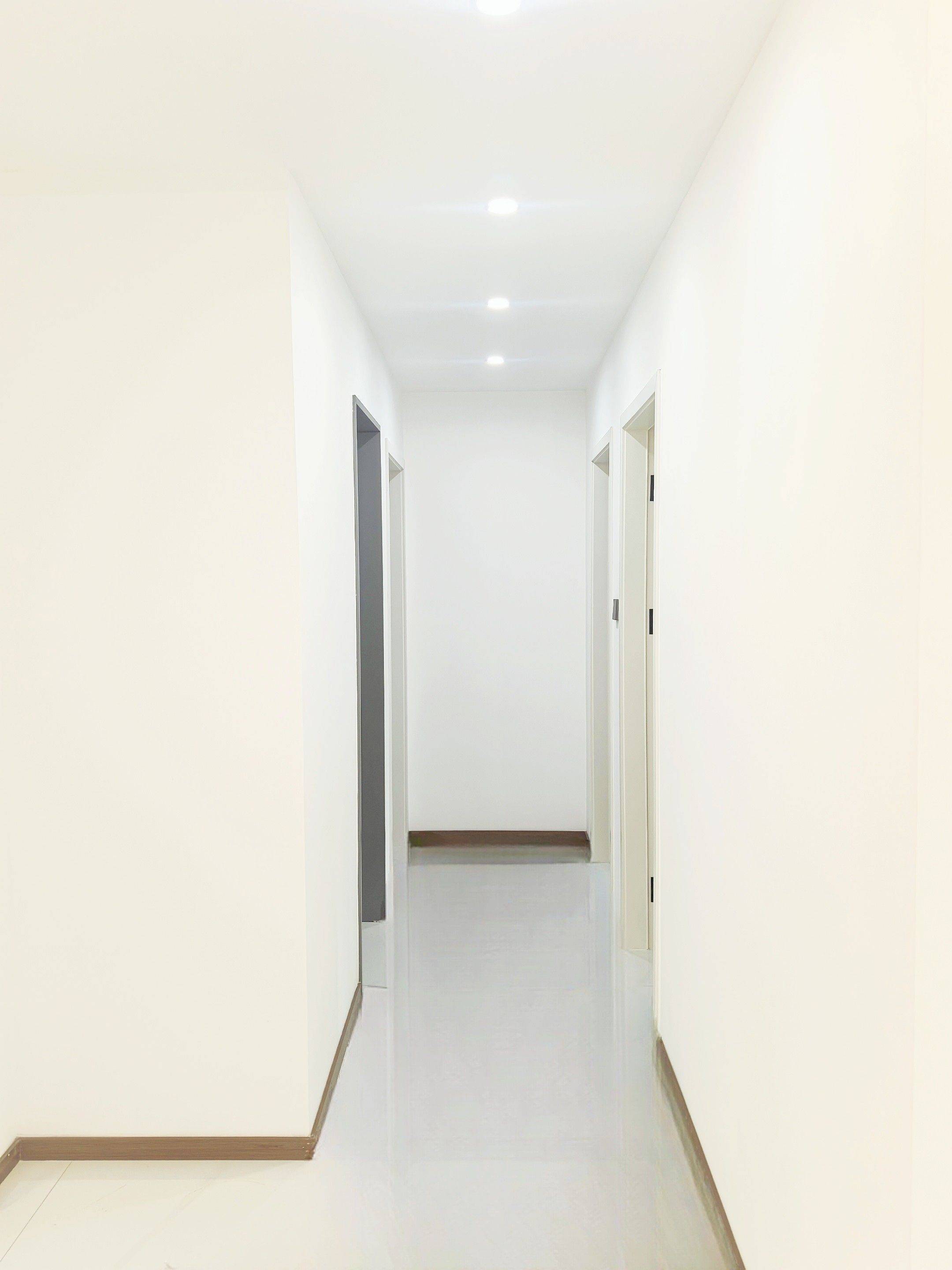 武汉-洪山-温馨小窝,干净治愈,不限性别,宠物友好