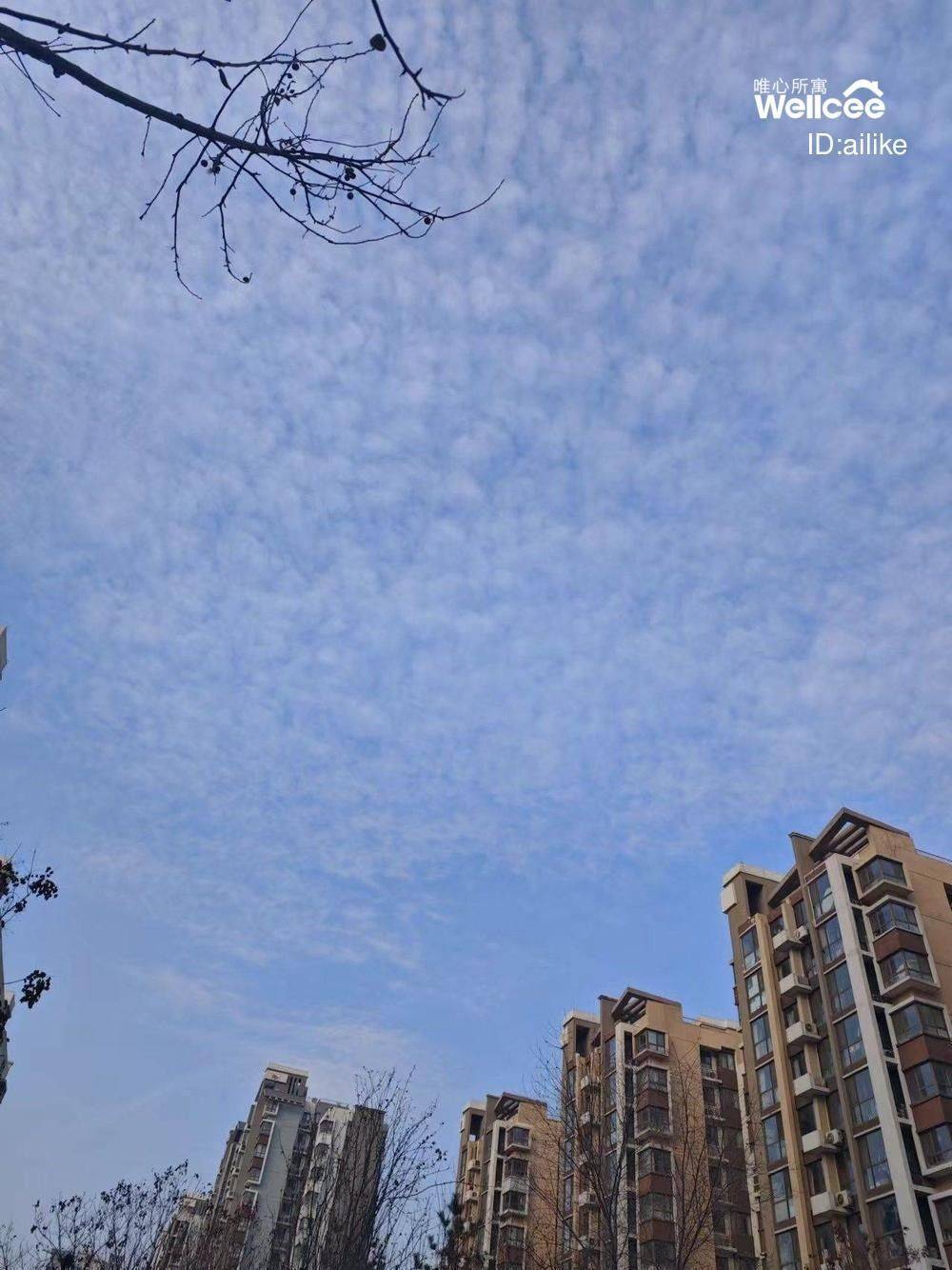 Beijing-Chaoyang-Cozy Home,Clean&Comfy,No Gender Limit