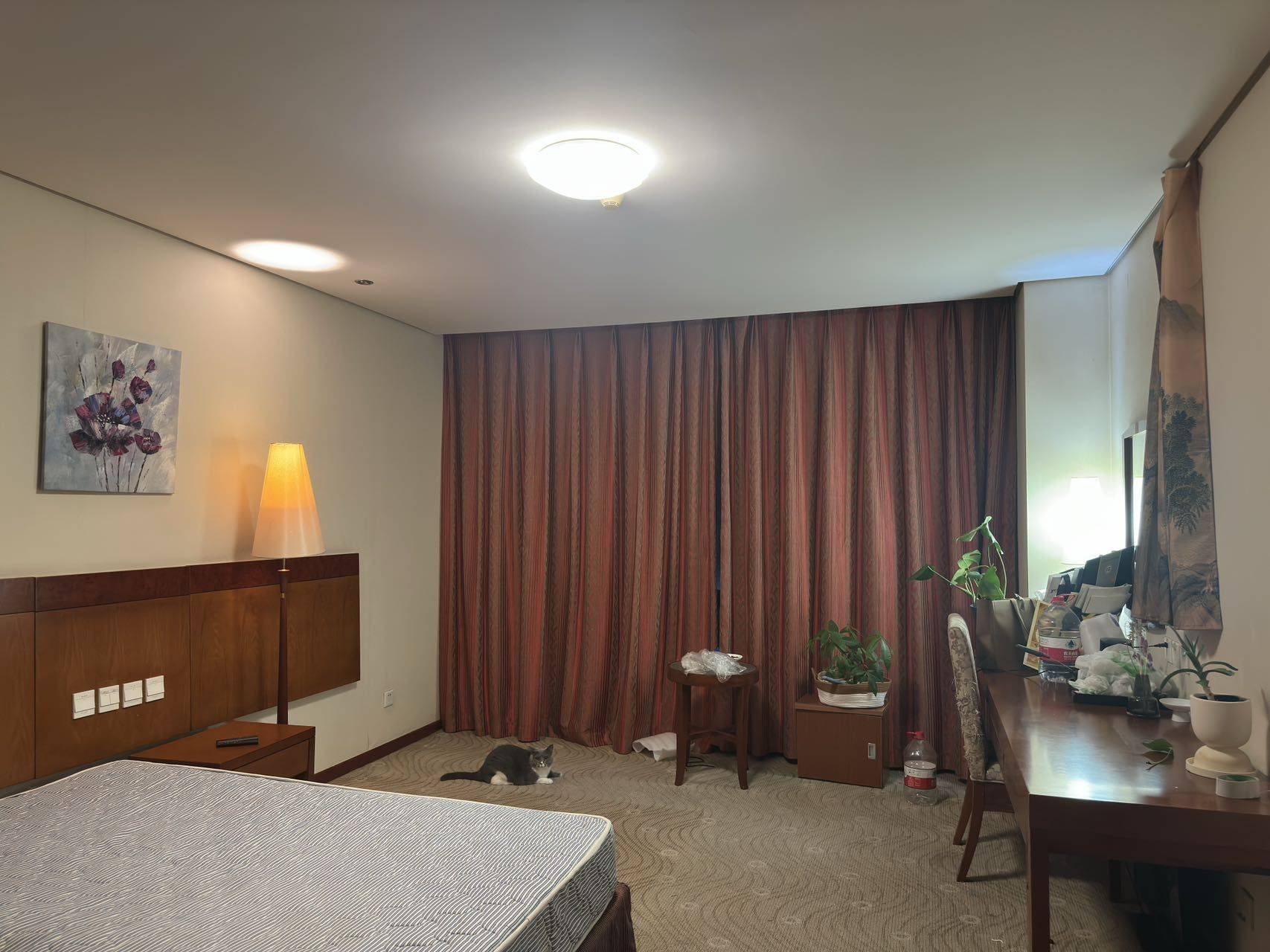 Beijing-Chaoyang-Cozy Home,Clean&Comfy