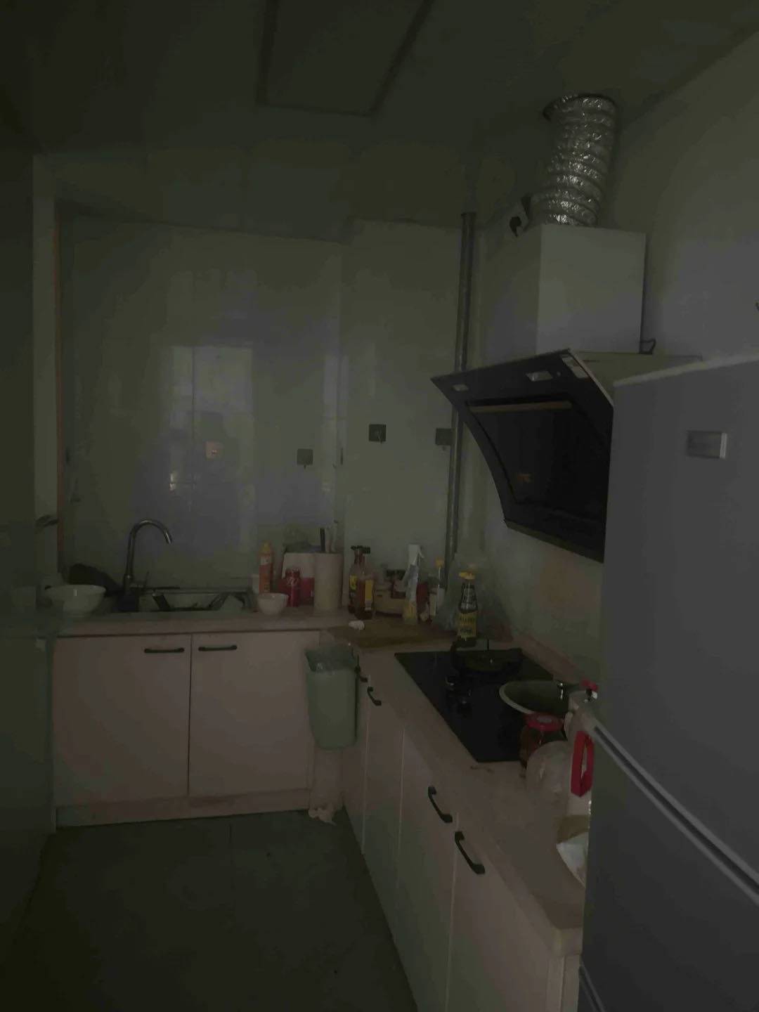 无人区玫瑰整租房源3