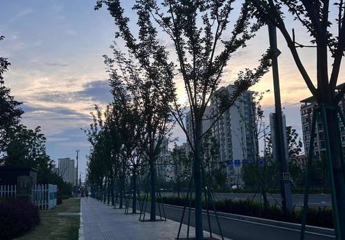 Fenghua 龙溪小区-4幢