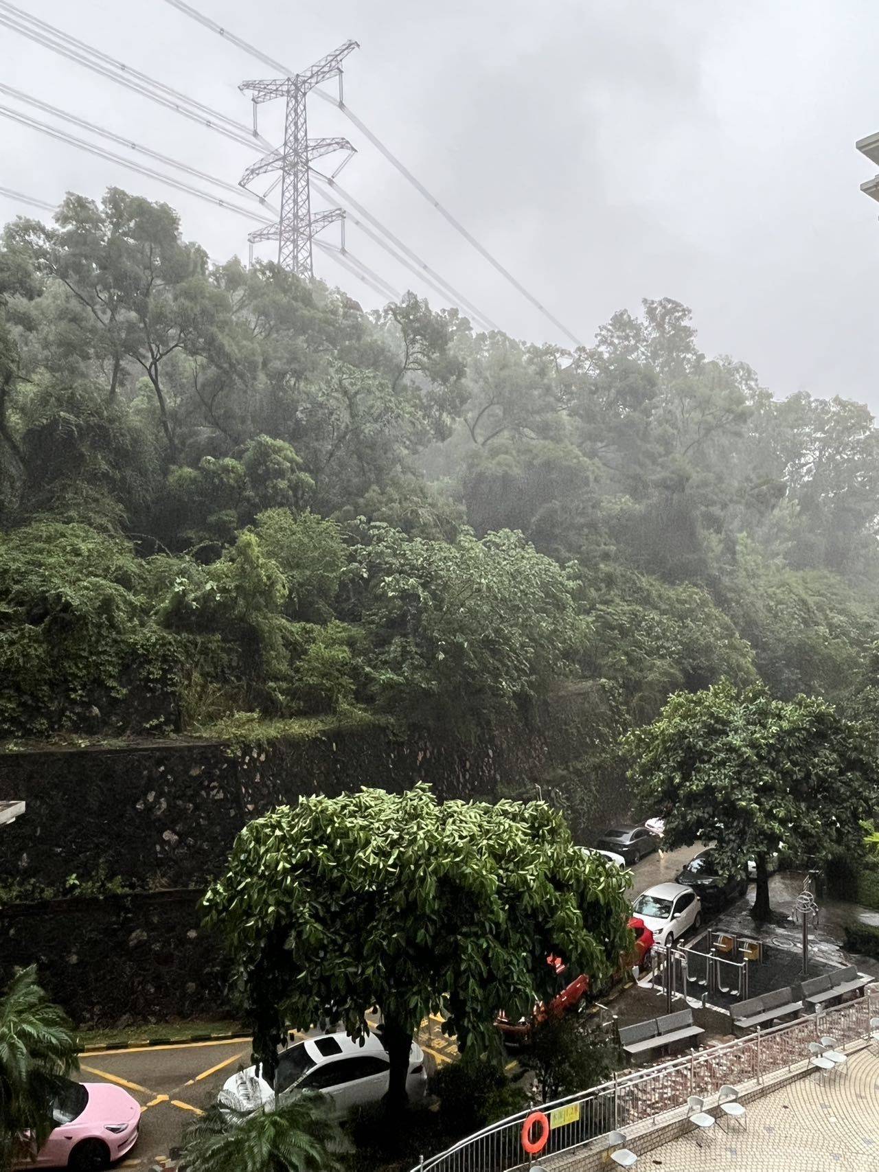 深圳 罗湖 | 雅仕居_5