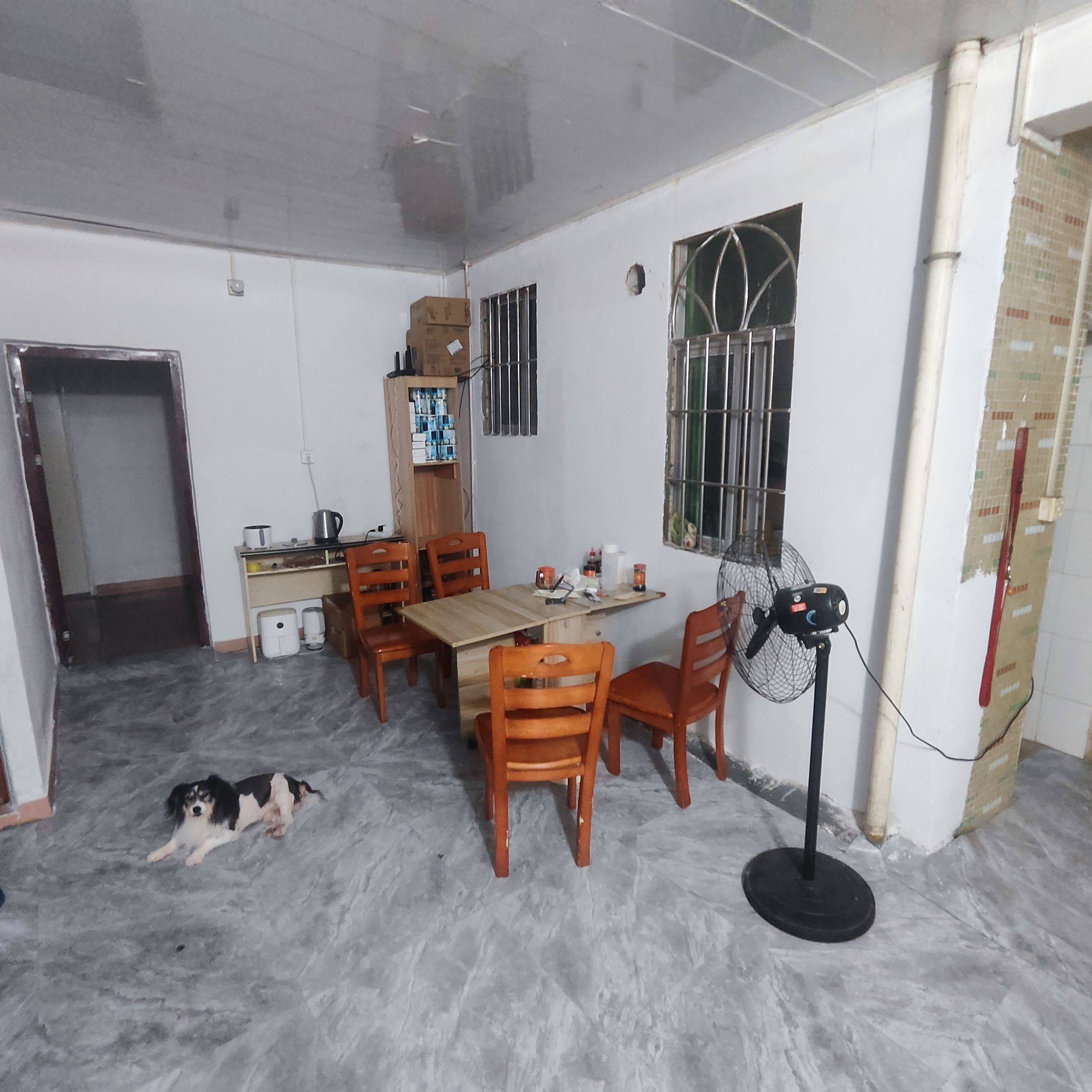 深圳-龍崗-溫馨小窩,乾淨治愈,不限性別,市井煙火氣,寵物友好