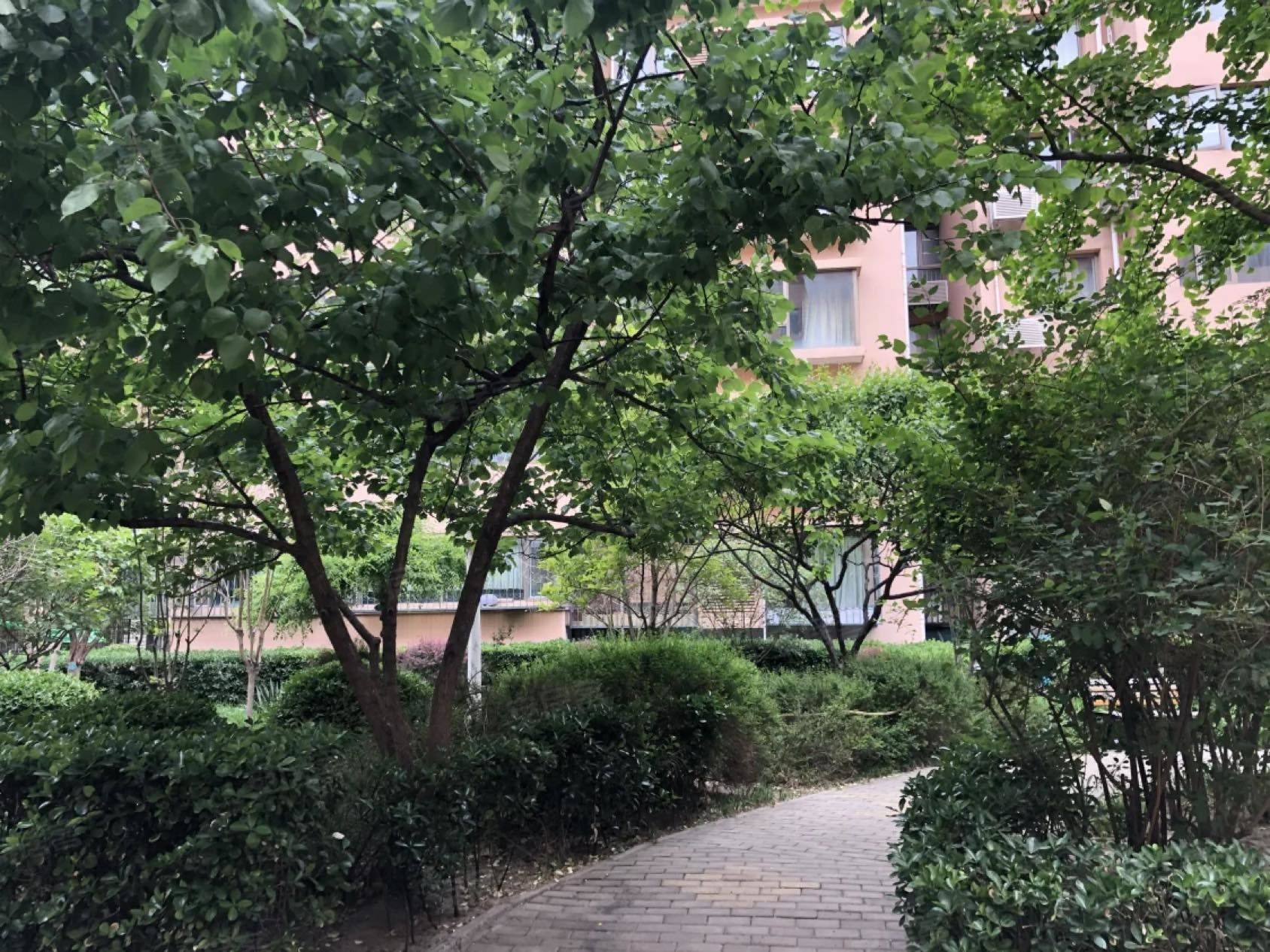 OD整租房源1