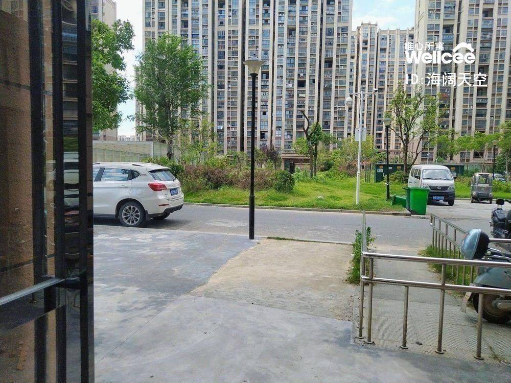 不养宠物 | 干净治愈