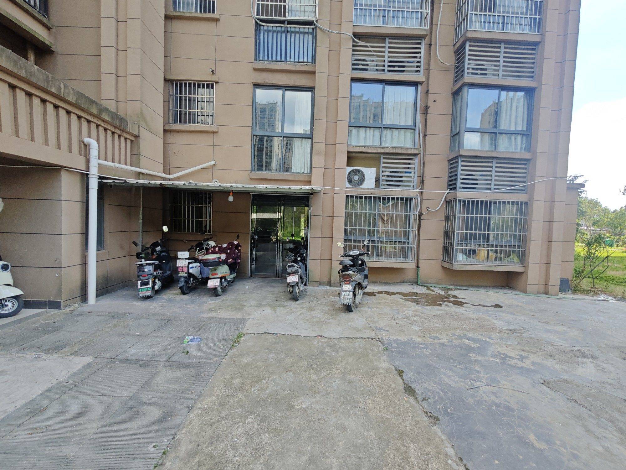 不养宠物 | 干净治愈