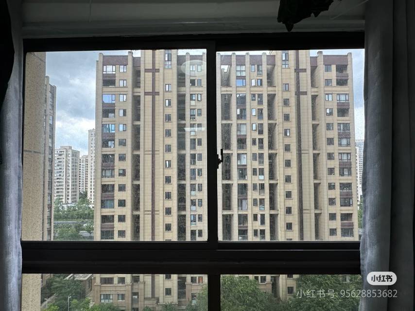 金東 金报·步阳华府-8幢