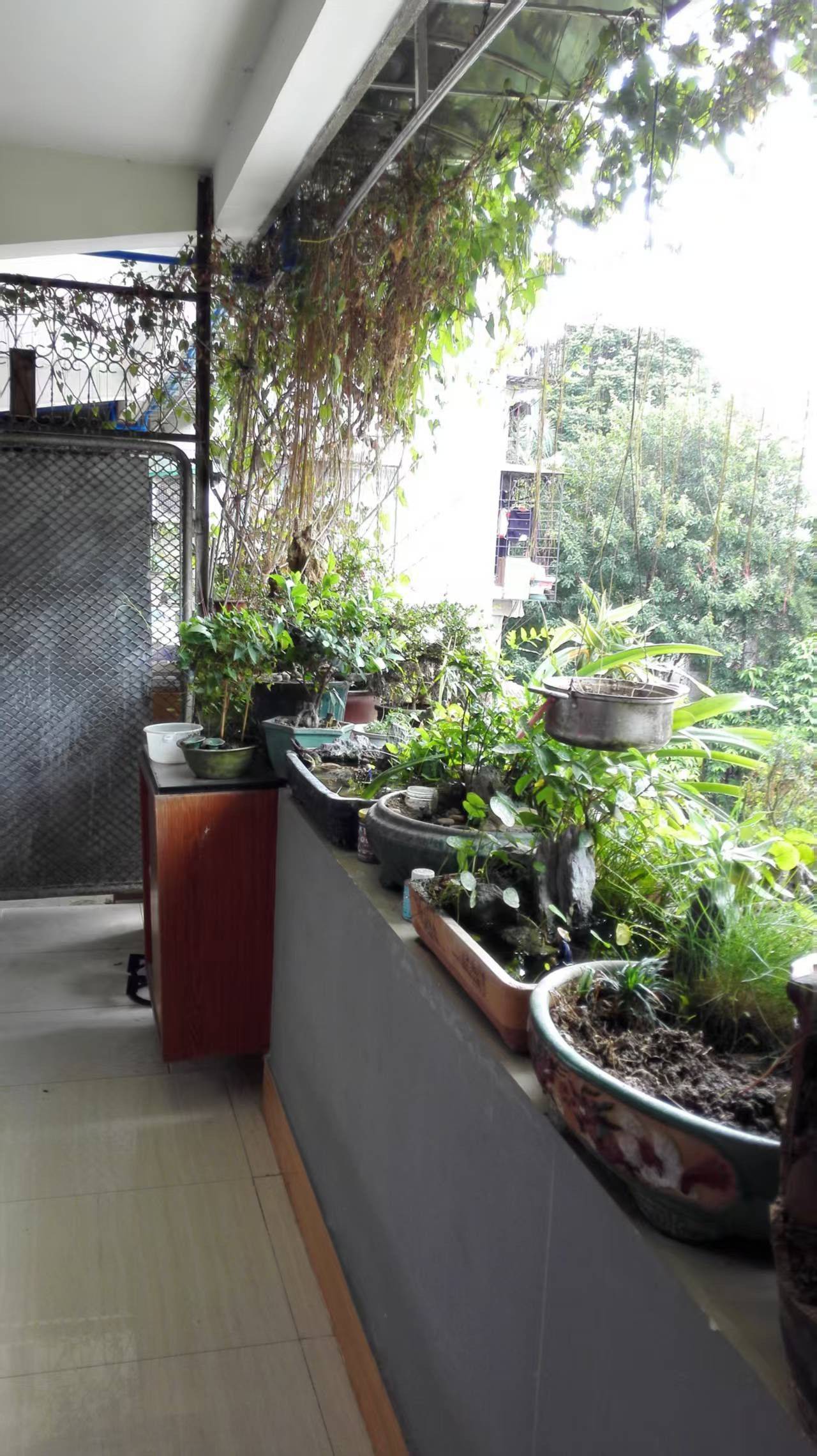 单先生整租房源3