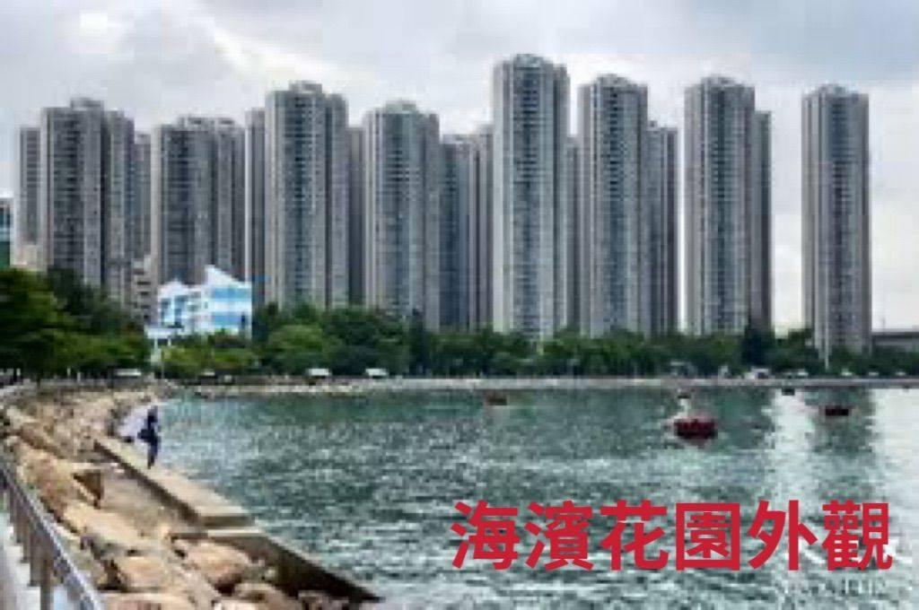 新界 海滨花园12座海丰阁
