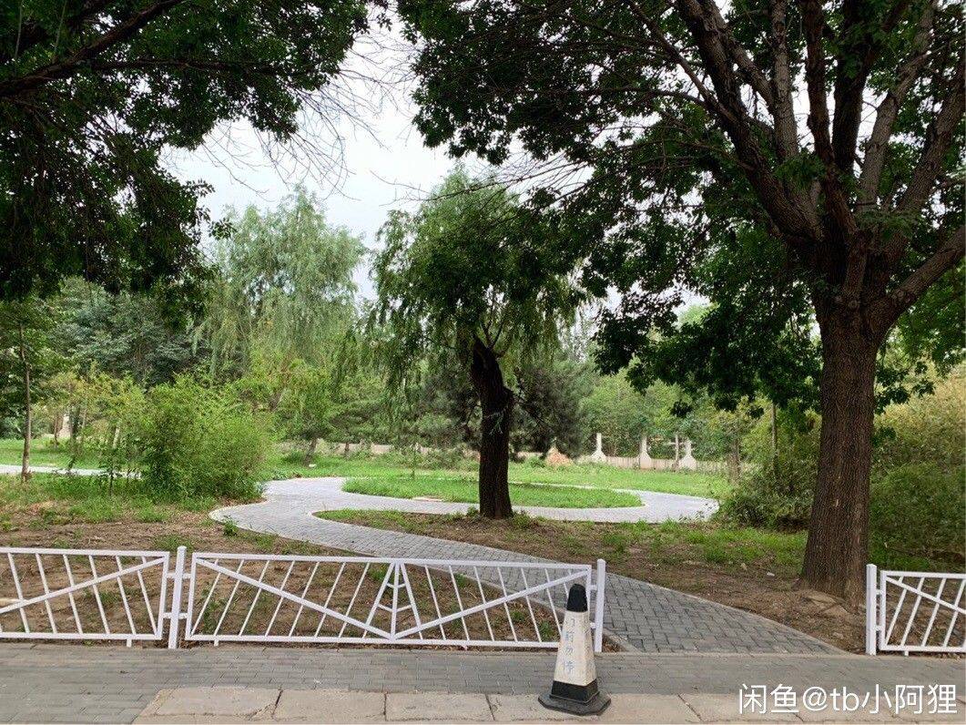 Beijing-Chaoyang-Cozy Home,Clean&Comfy,No Gender Limit,Hustle & Bustle,“Friends”
