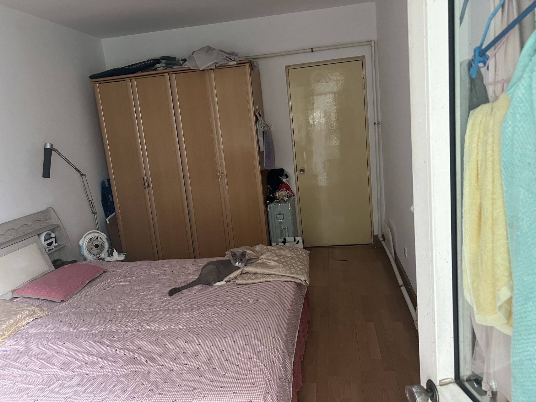 Cozy Home | No Gender Limit | Pet Friendly