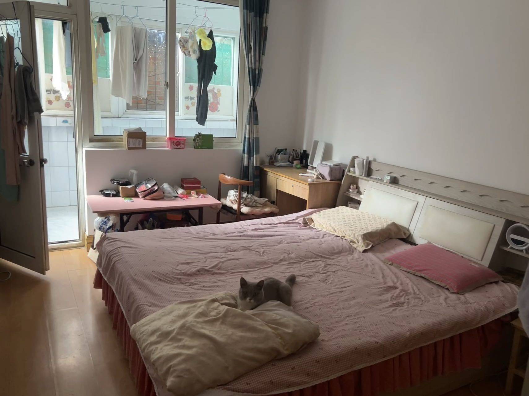 Cozy Home | No Gender Limit | Pet Friendly