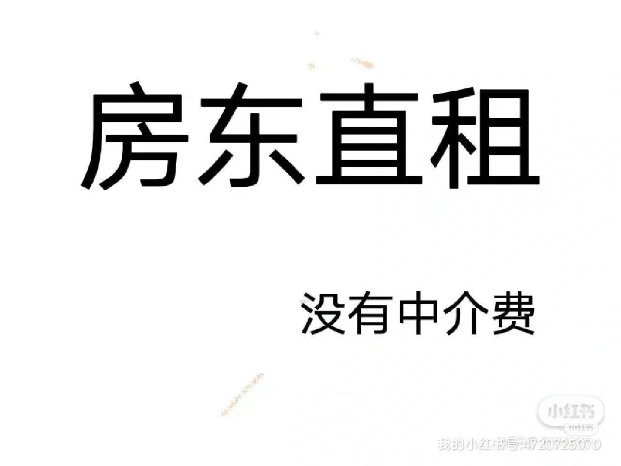 实习生 | 寵物友好 | LGBTQ友好 | 溫馨小窩