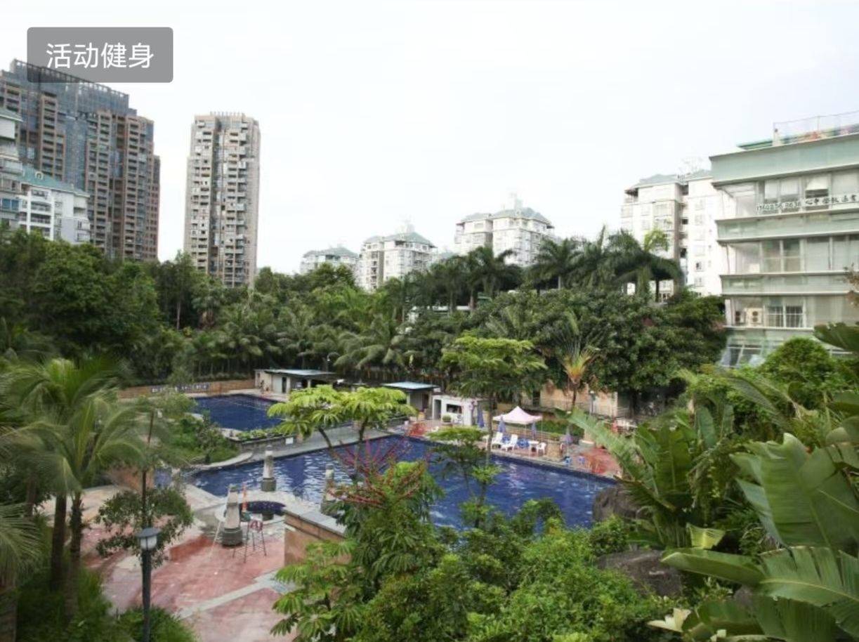 深圳-南山-温馨小窝,老友记,宠物友好