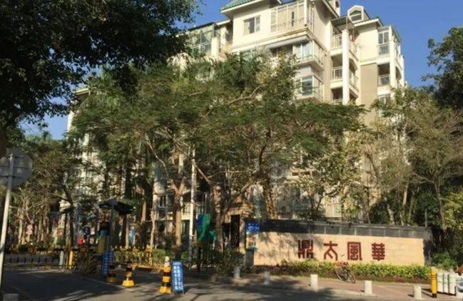 深圳-南山-温馨小窝,老友记,宠物友好