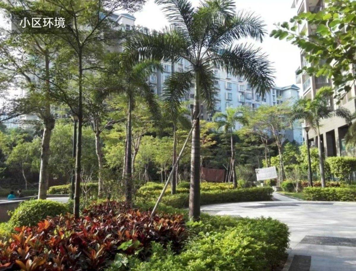 深圳-南山-干净卫生,有礼貌,溫馨小窩,乾淨治愈,不限性別,慢時光