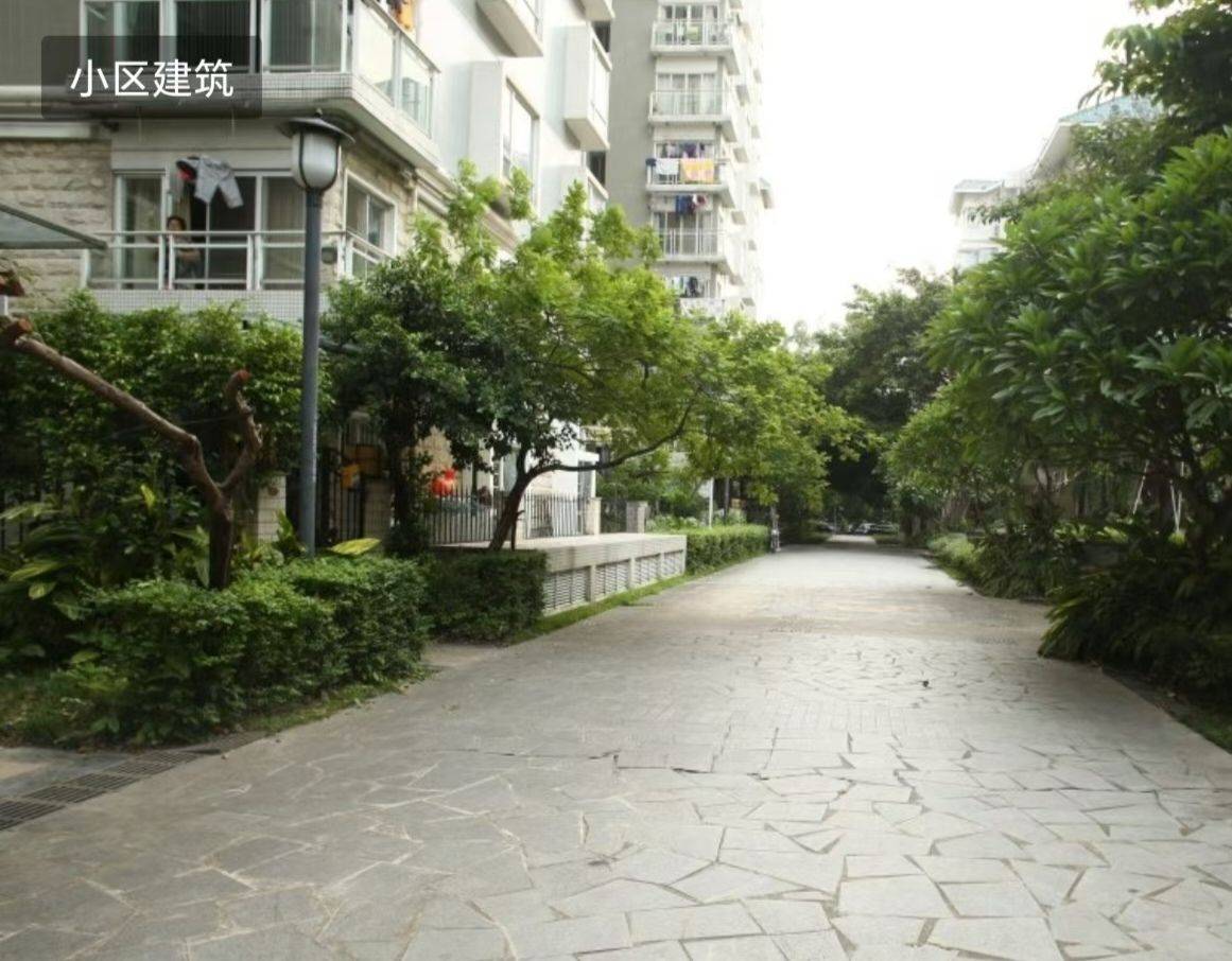 深圳-南山-干净卫生,有礼貌,溫馨小窩,乾淨治愈,不限性別,慢時光