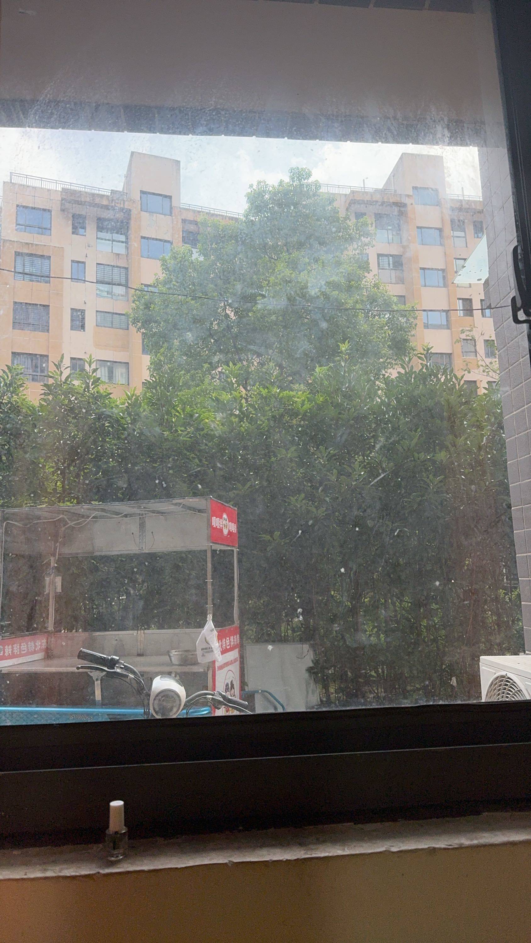 溫馨小窩 | 乾淨治愈 | 不限性別 | 慢時光