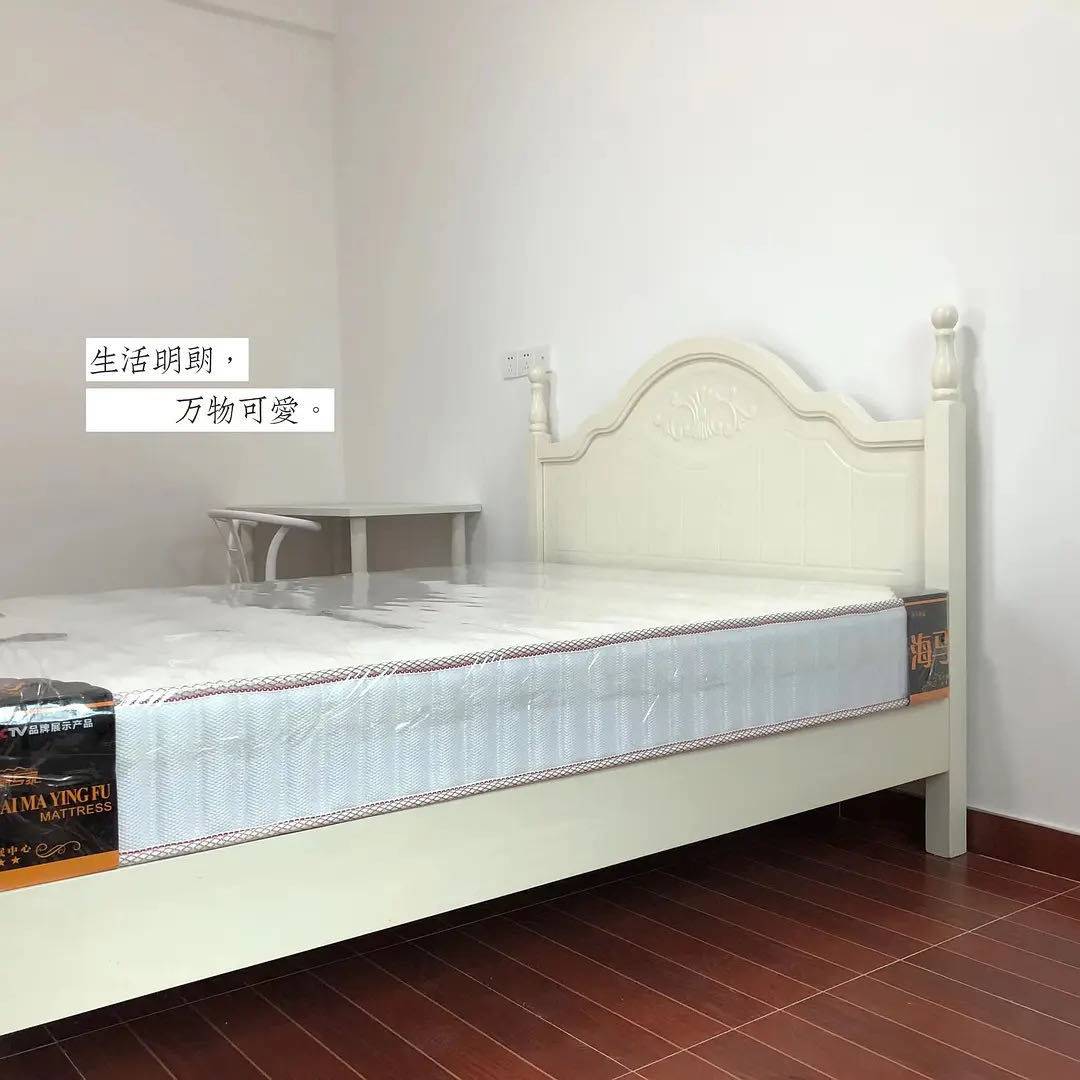 珠海-香洲-溫馨小窩,乾淨治愈,不限性別,寵物友好